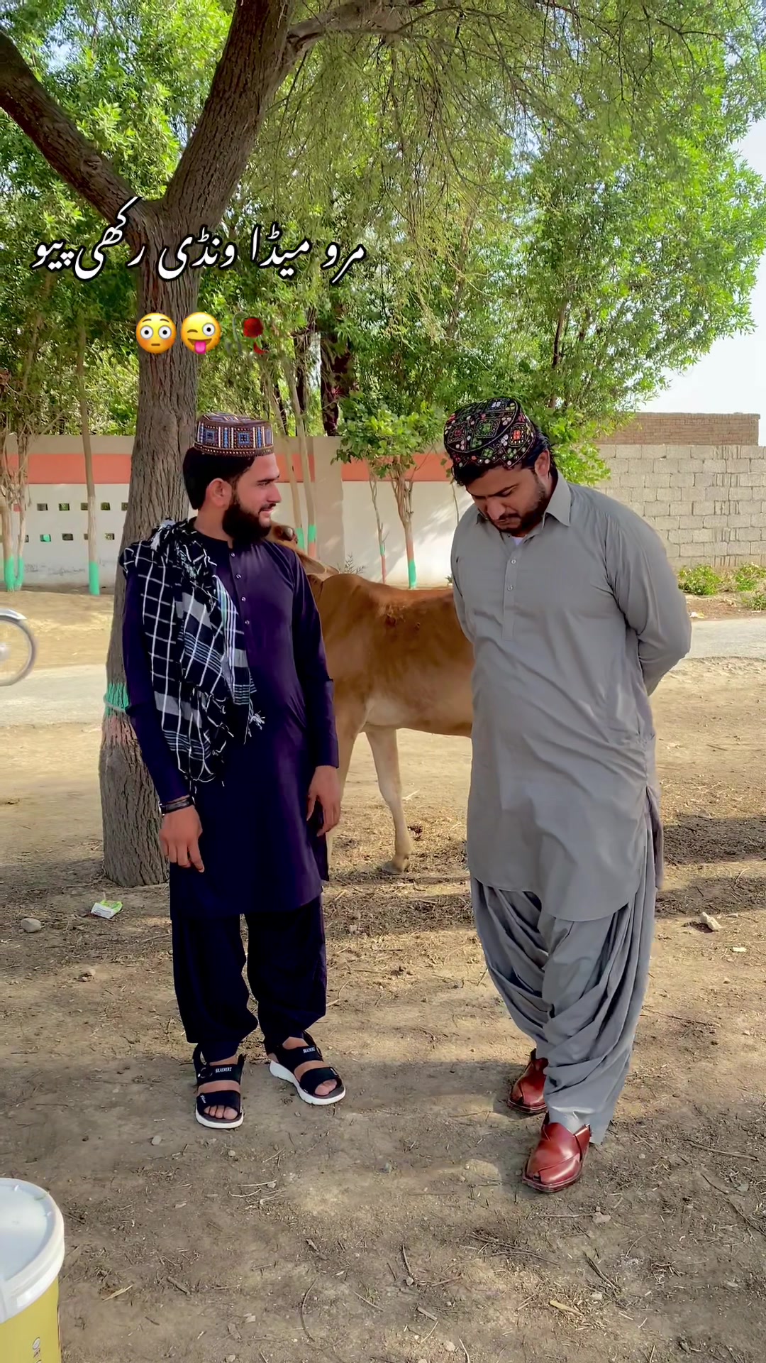 @Shahzad_dgk🇵🇰👈