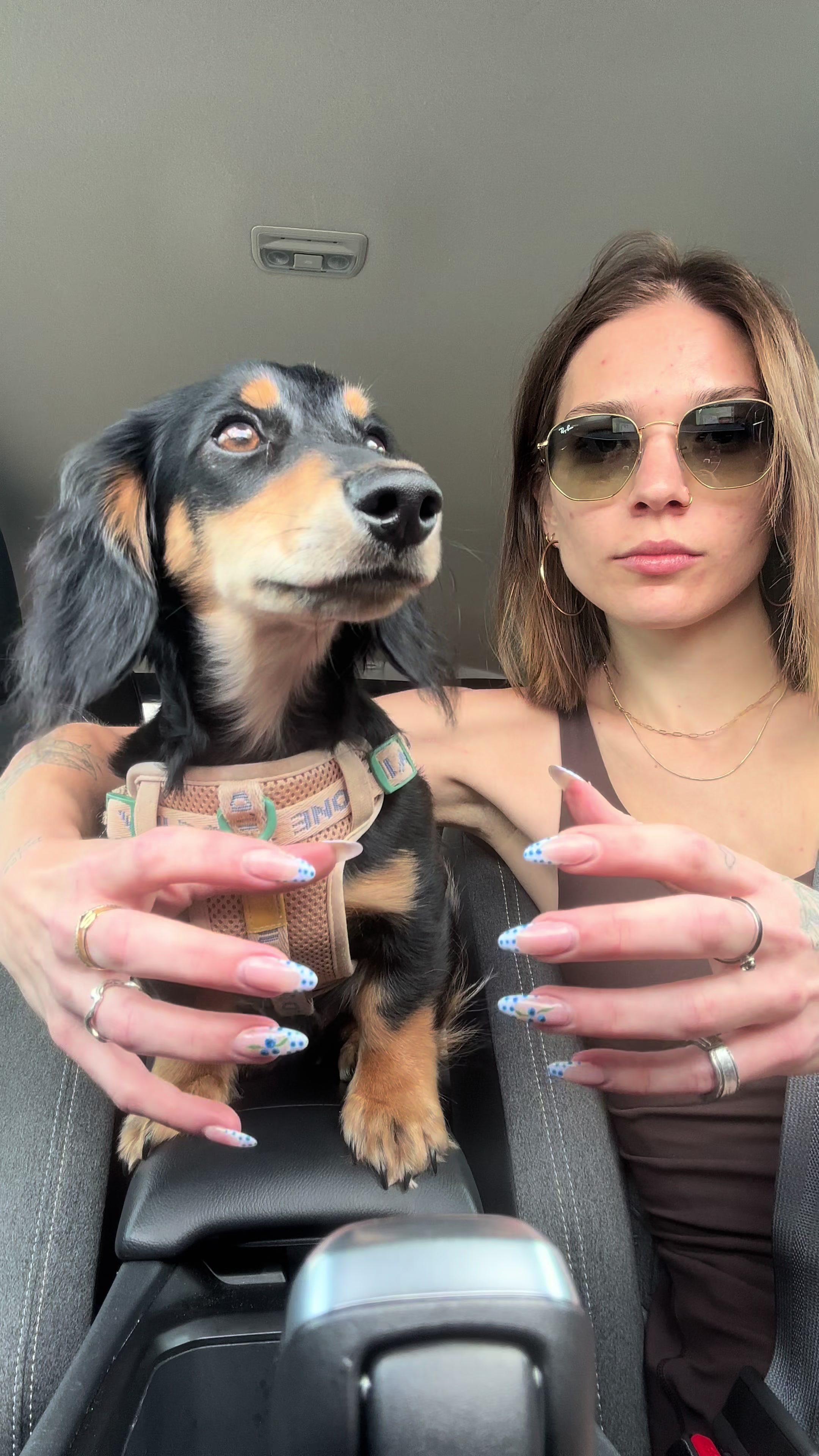 @Eppe | Mini Dachshund