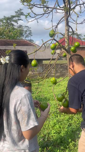 @Wahyu Tyya