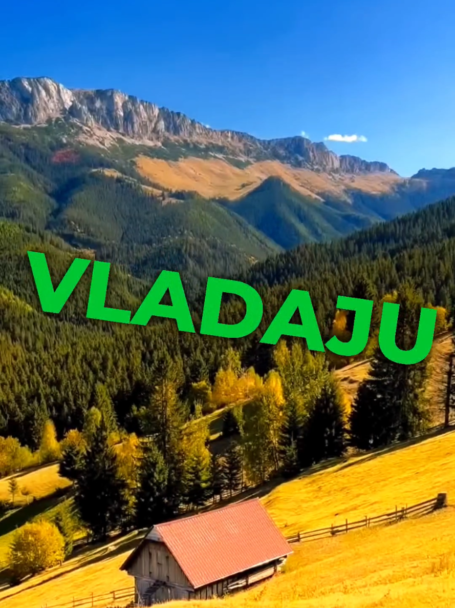 @Hadžibeg