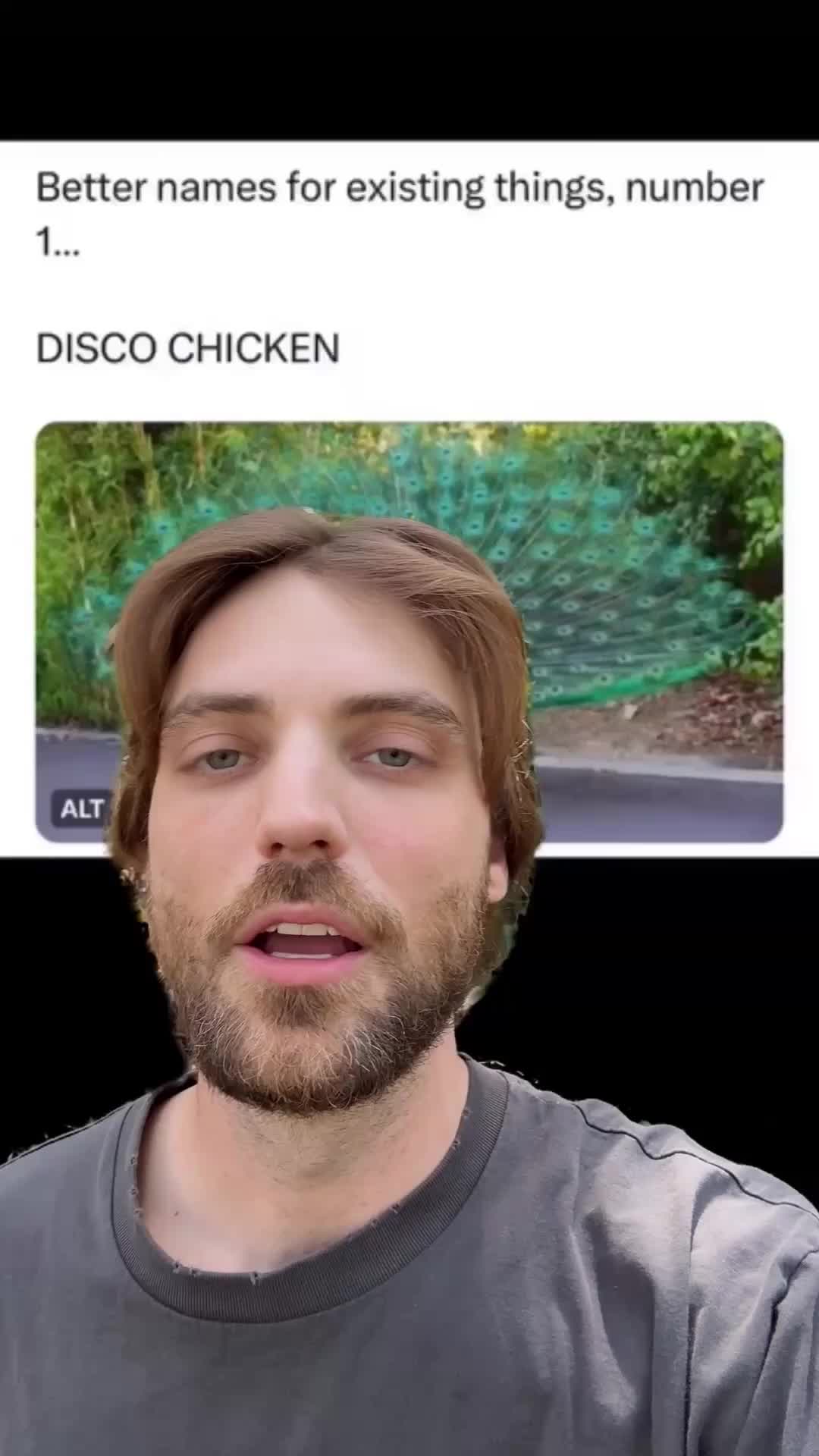 @bentellect