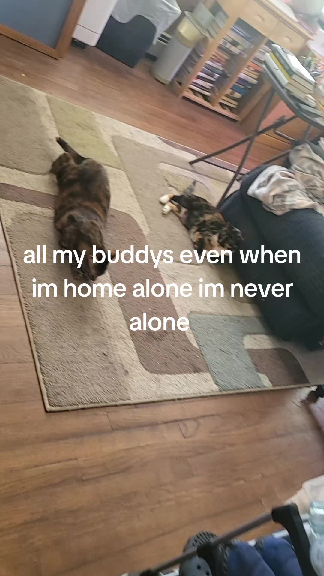 @amylubin997