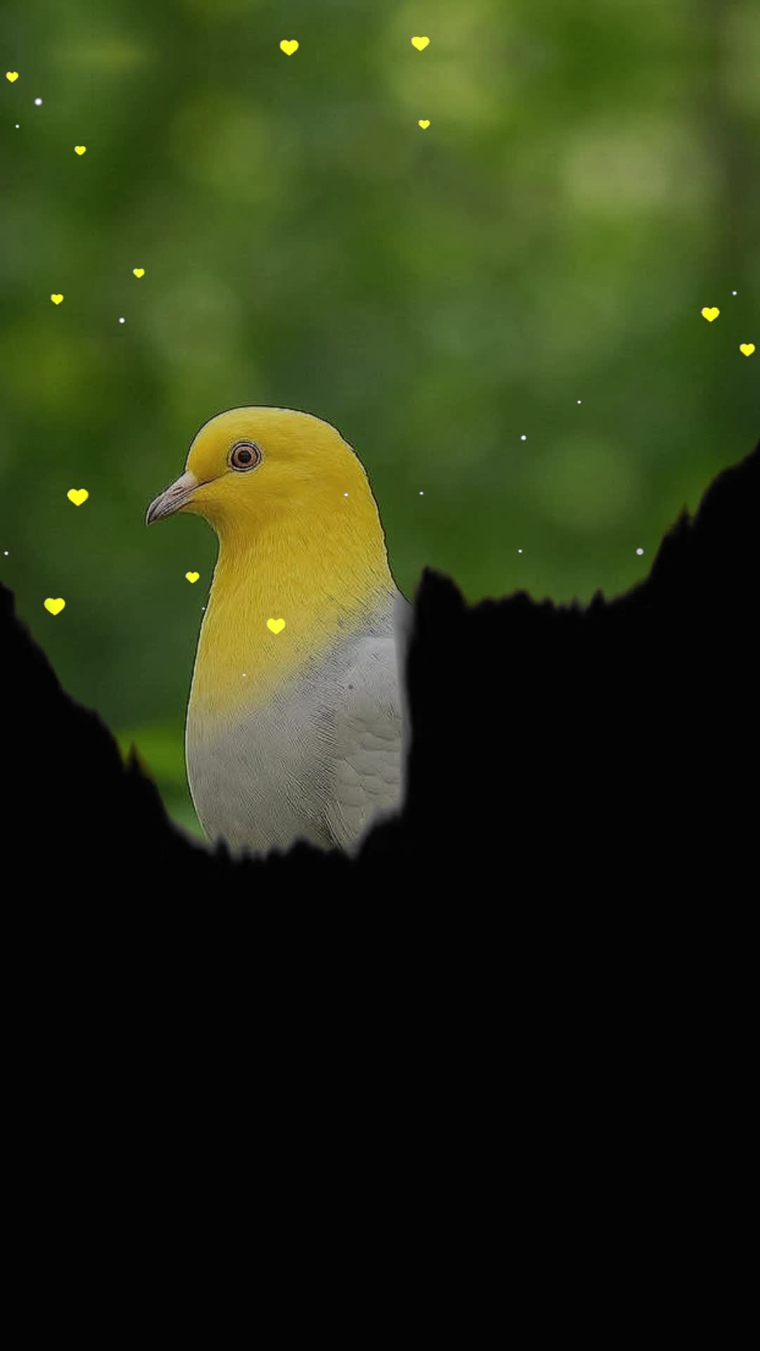@❤️سزائے عشق😭