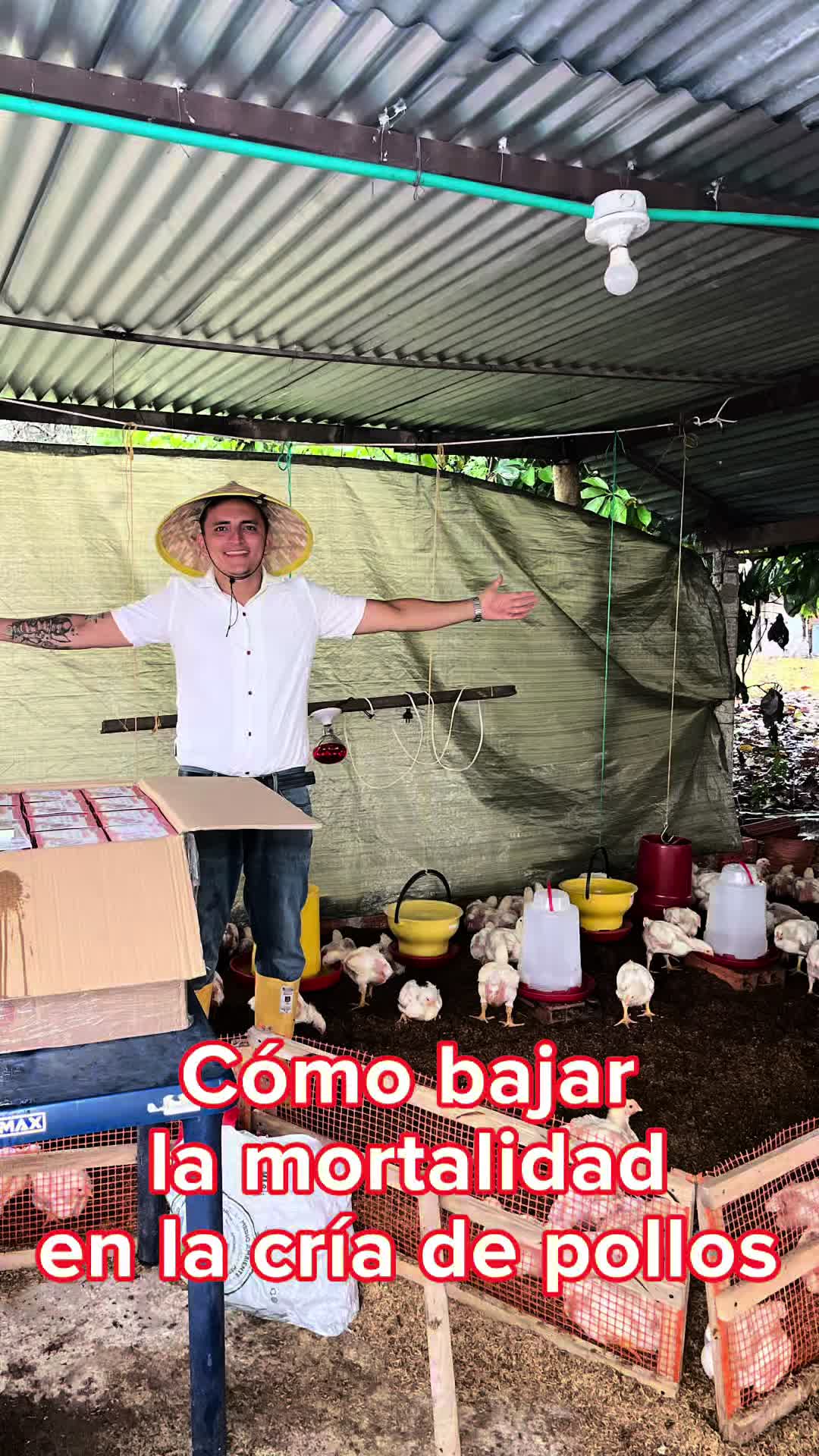 @elmagnatedelospollos