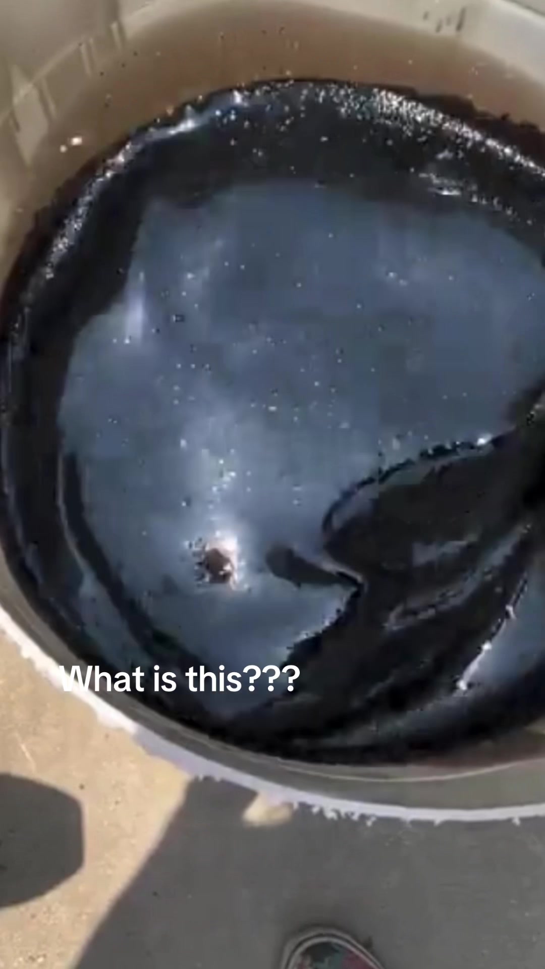 @ViralCarousel