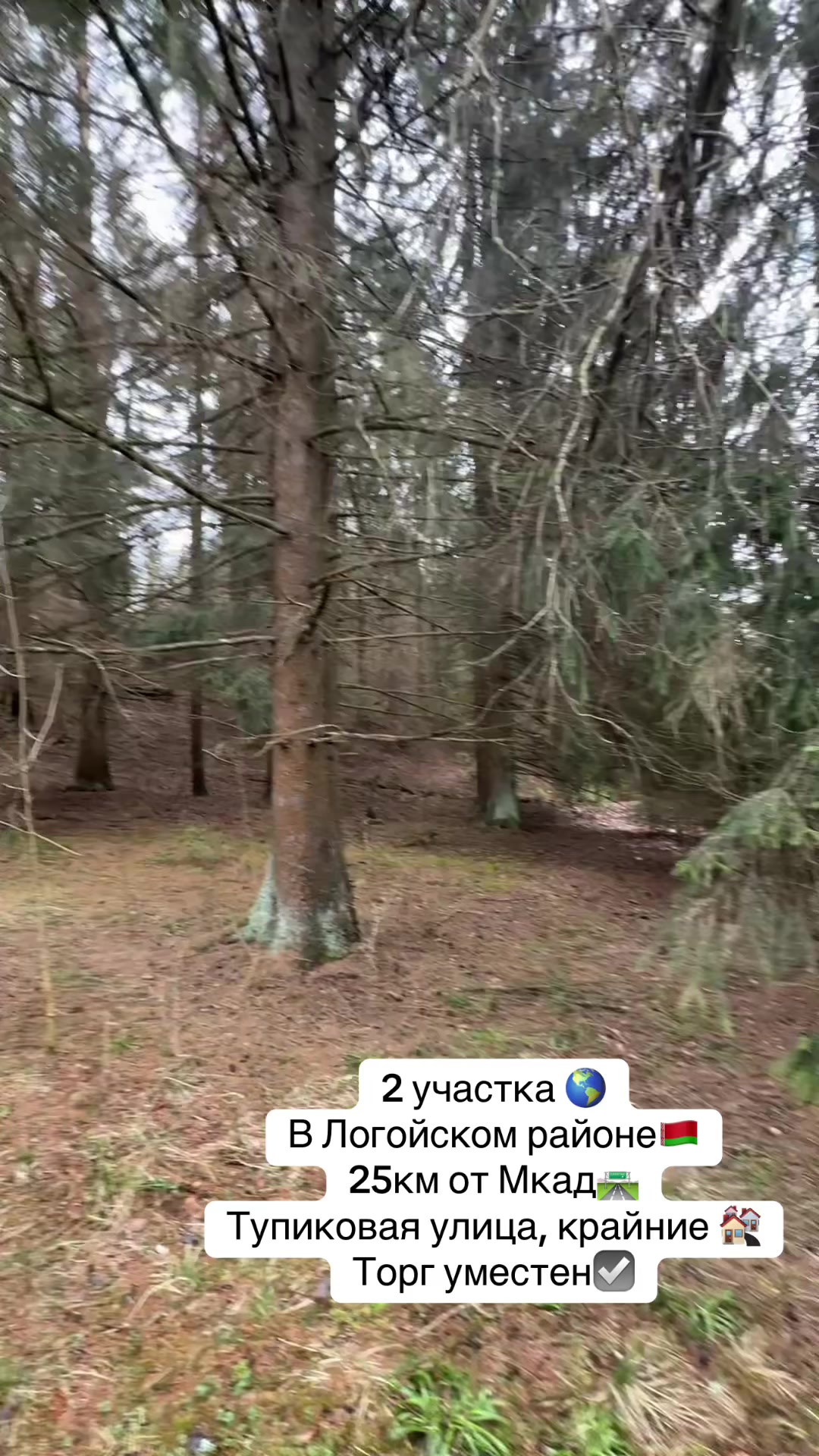 @denis_real_estate_minsk