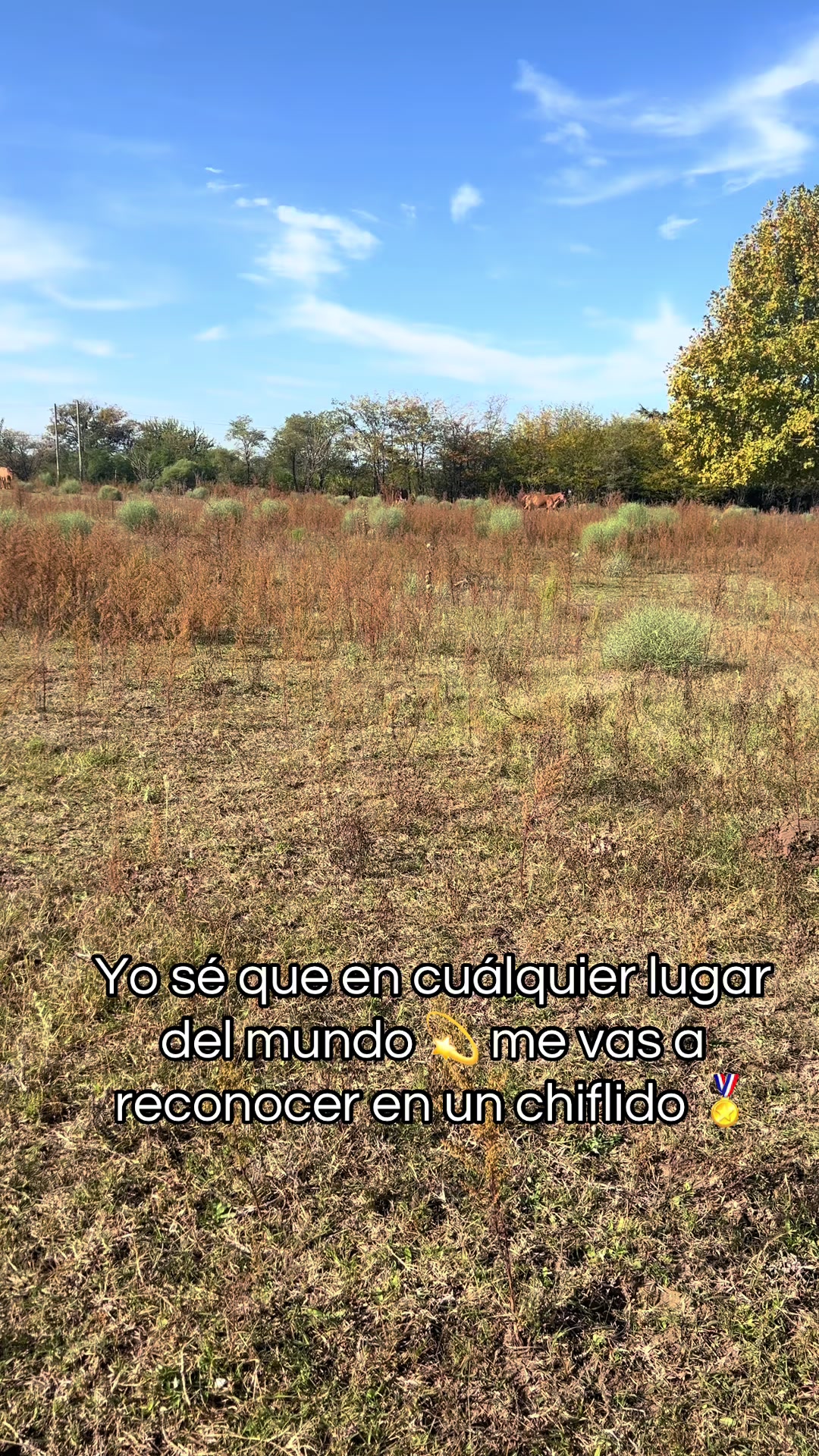 @Mili Mansilla