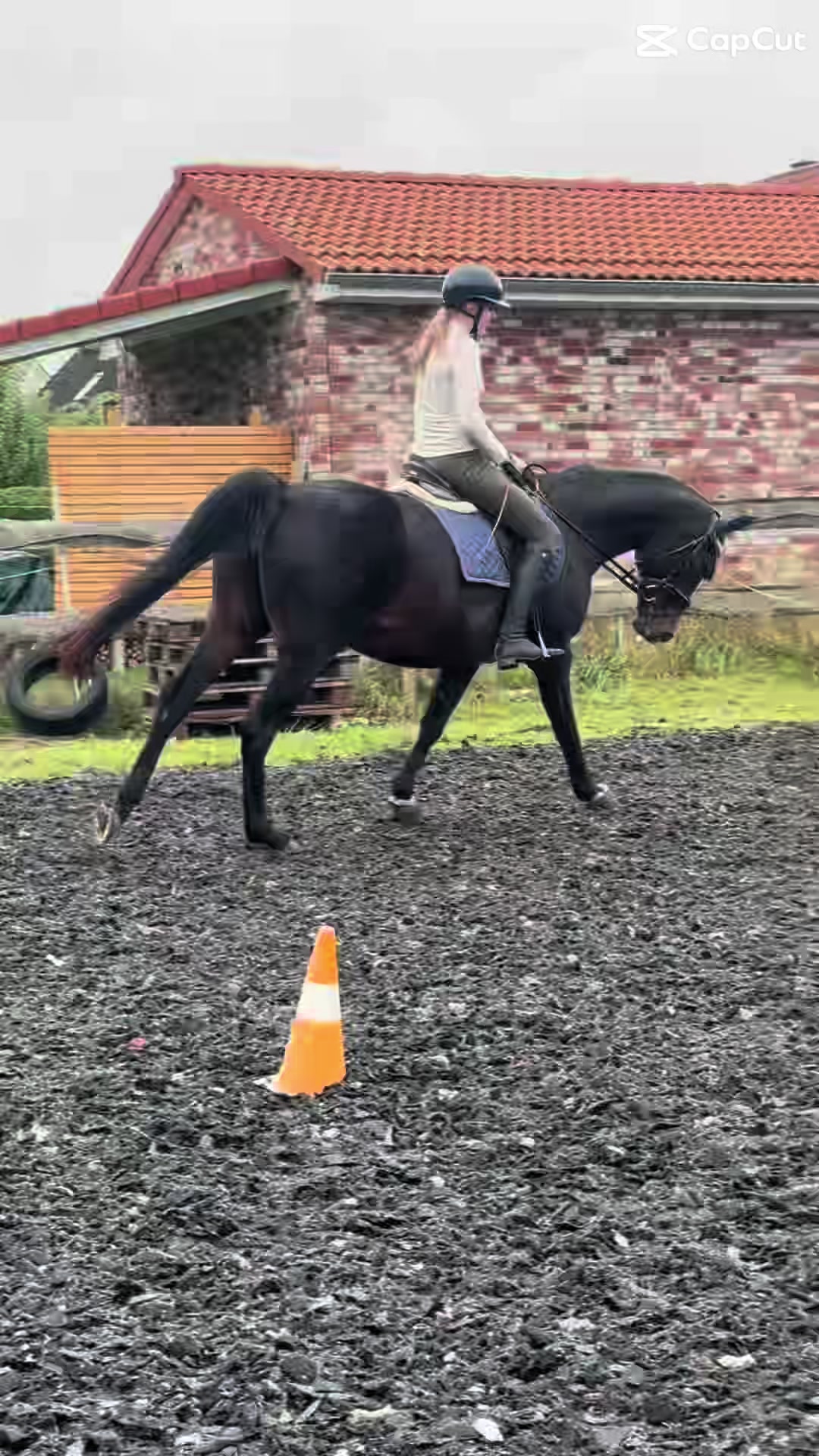 @herzenspferd_lucie❤️🥹