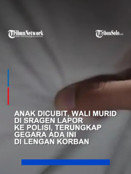 @TribunSolo.com