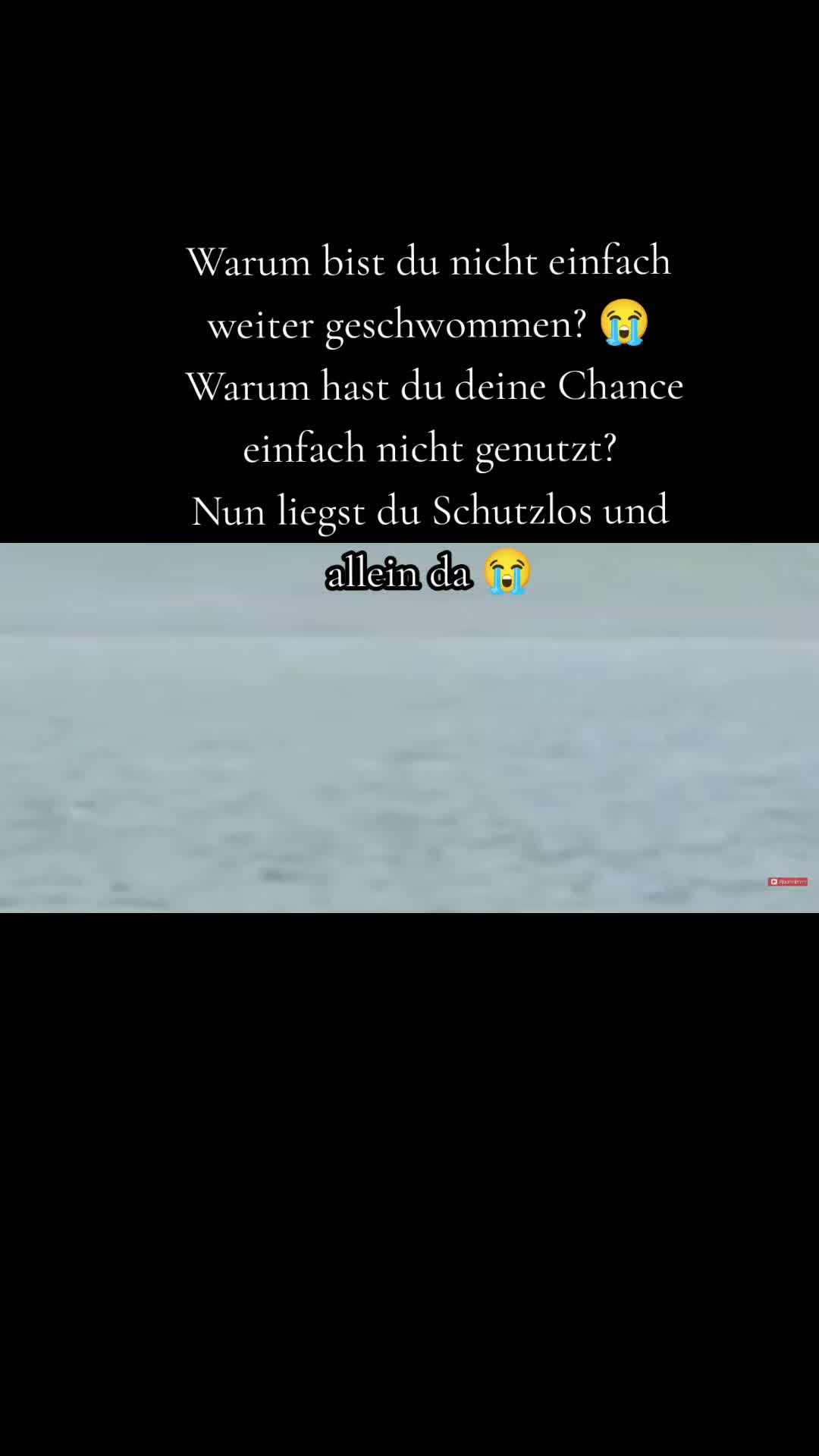 @die.bullybande.🐕®🥷🏼404🥷🏼