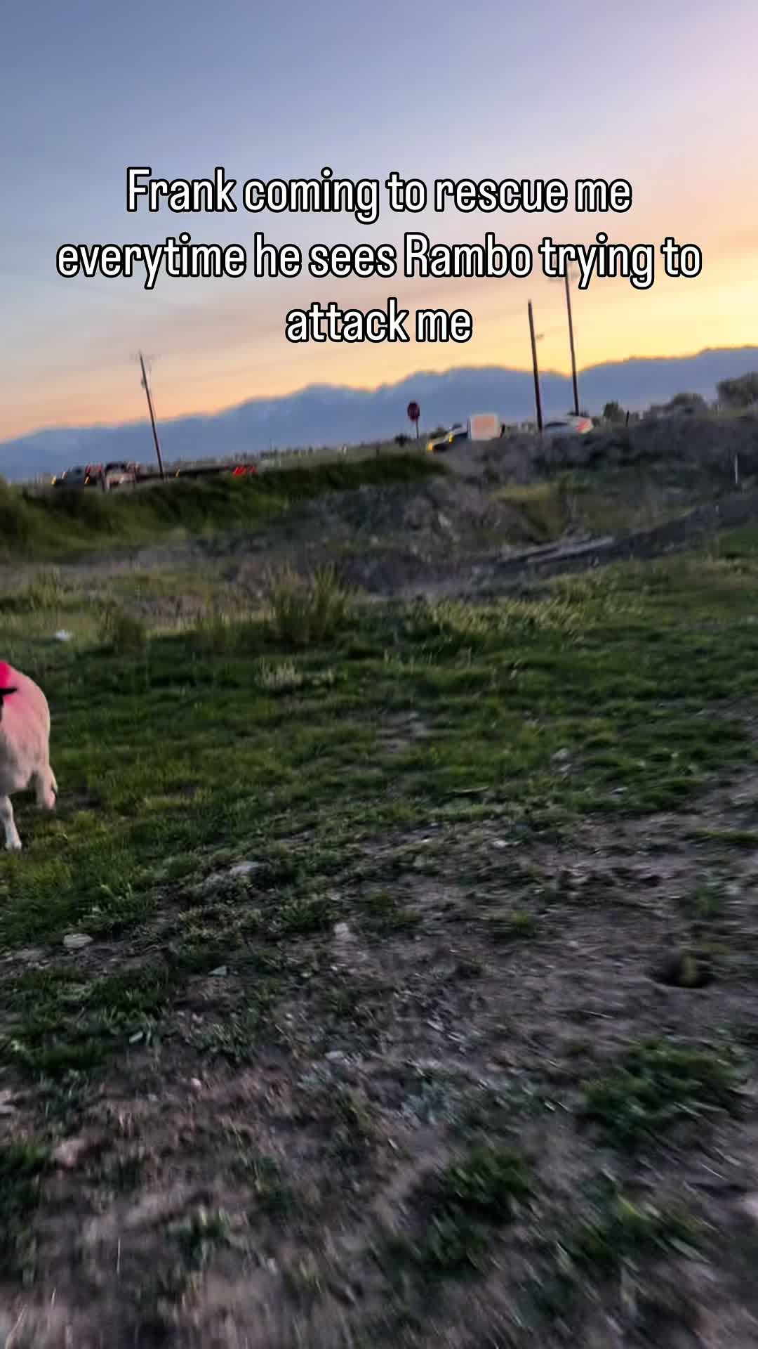 @happi acres