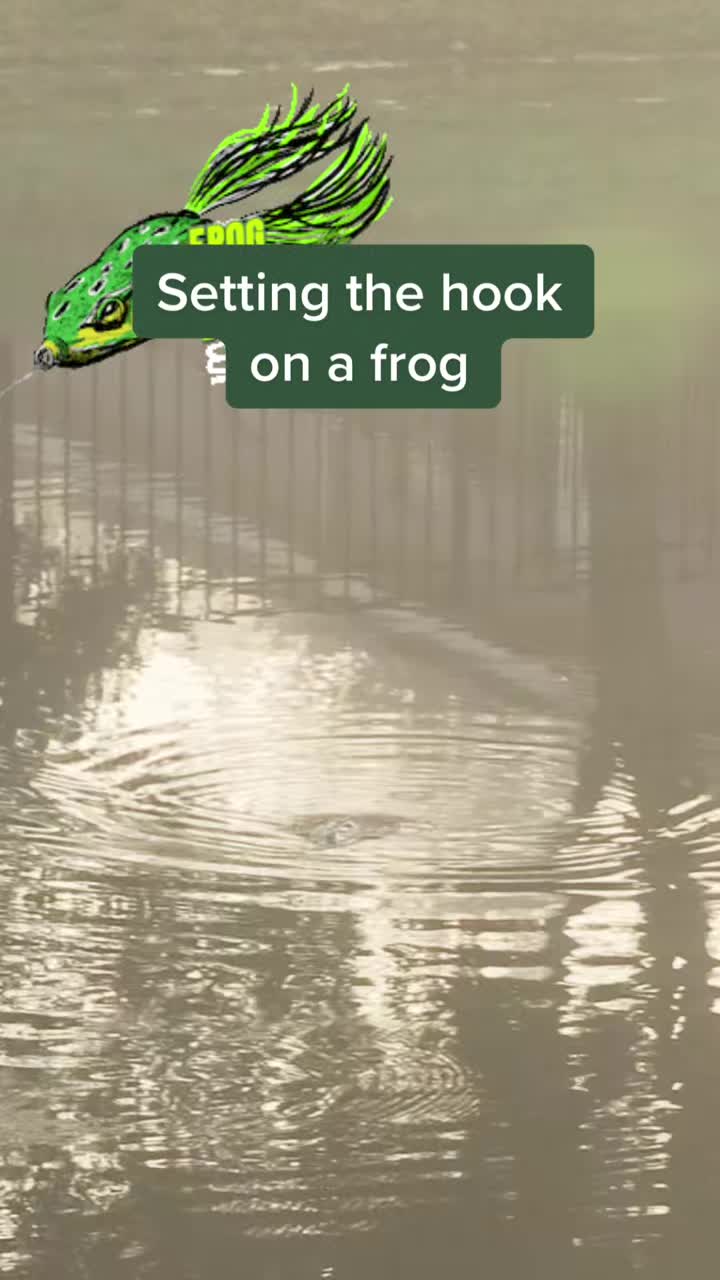@Lunkerville