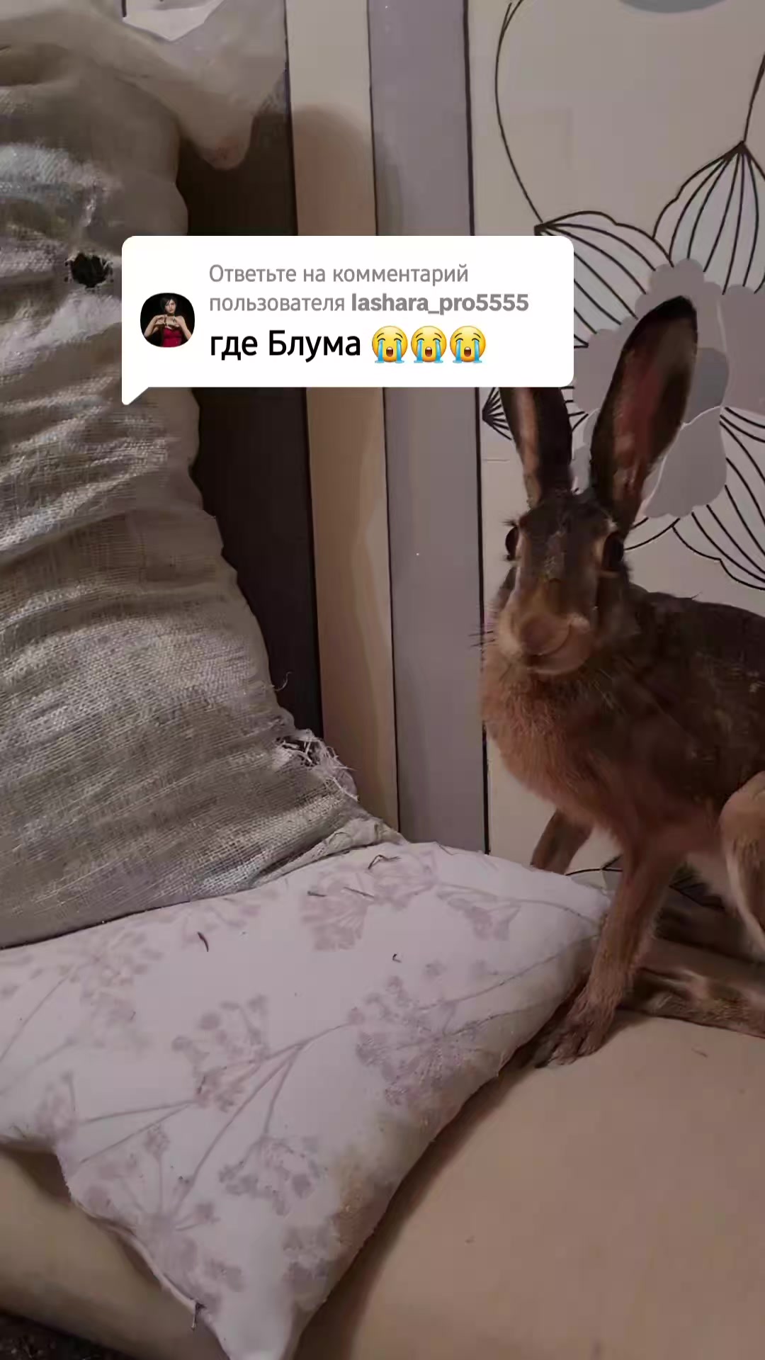 @зайка Блума💋
