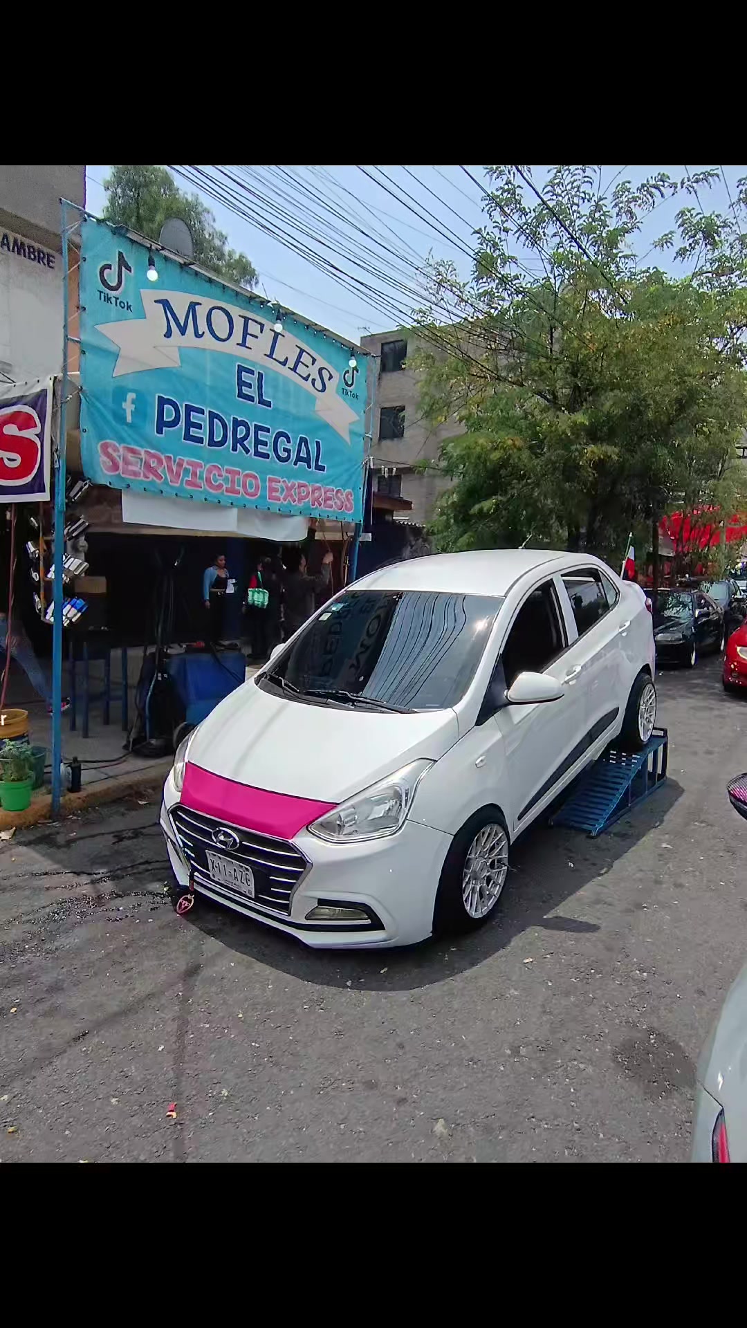 @Mofleselpedregal_1