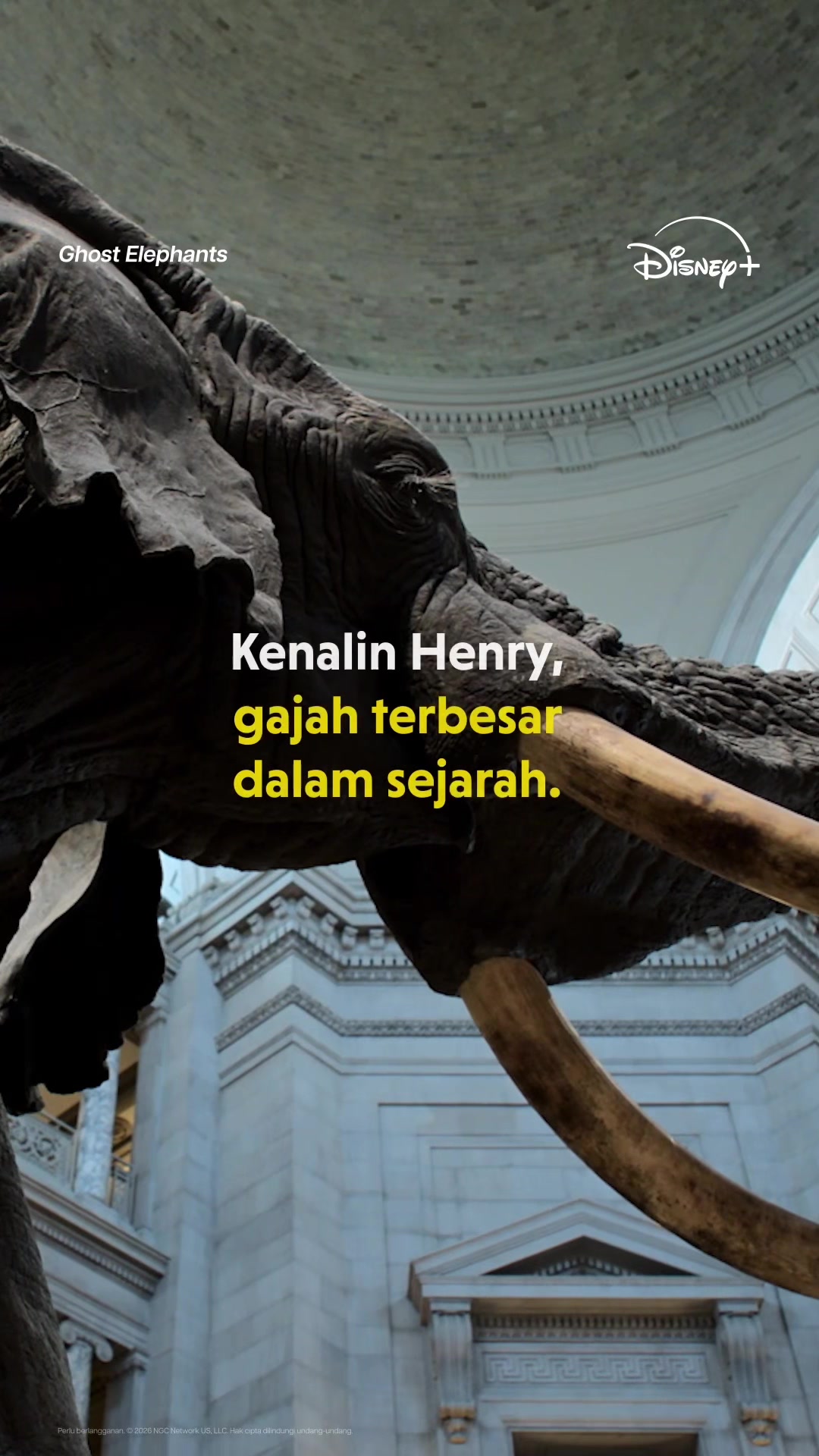 @Disney+ Indonesia