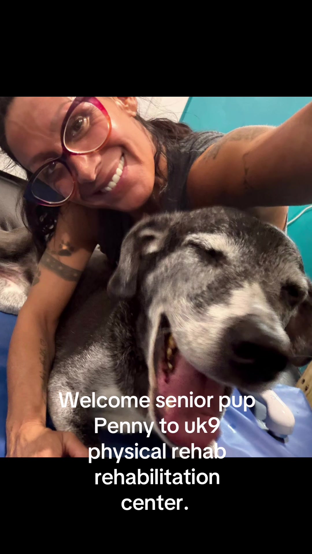 @dogmom76