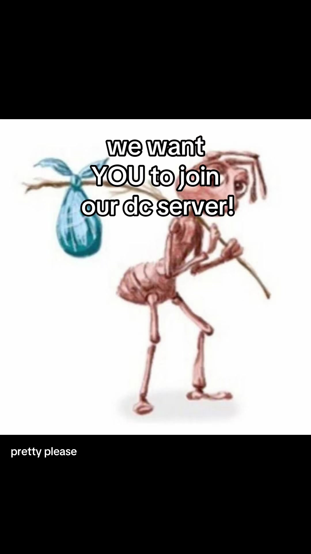 @๐ค๐๐๐๐๐๐๐๐๐
โข