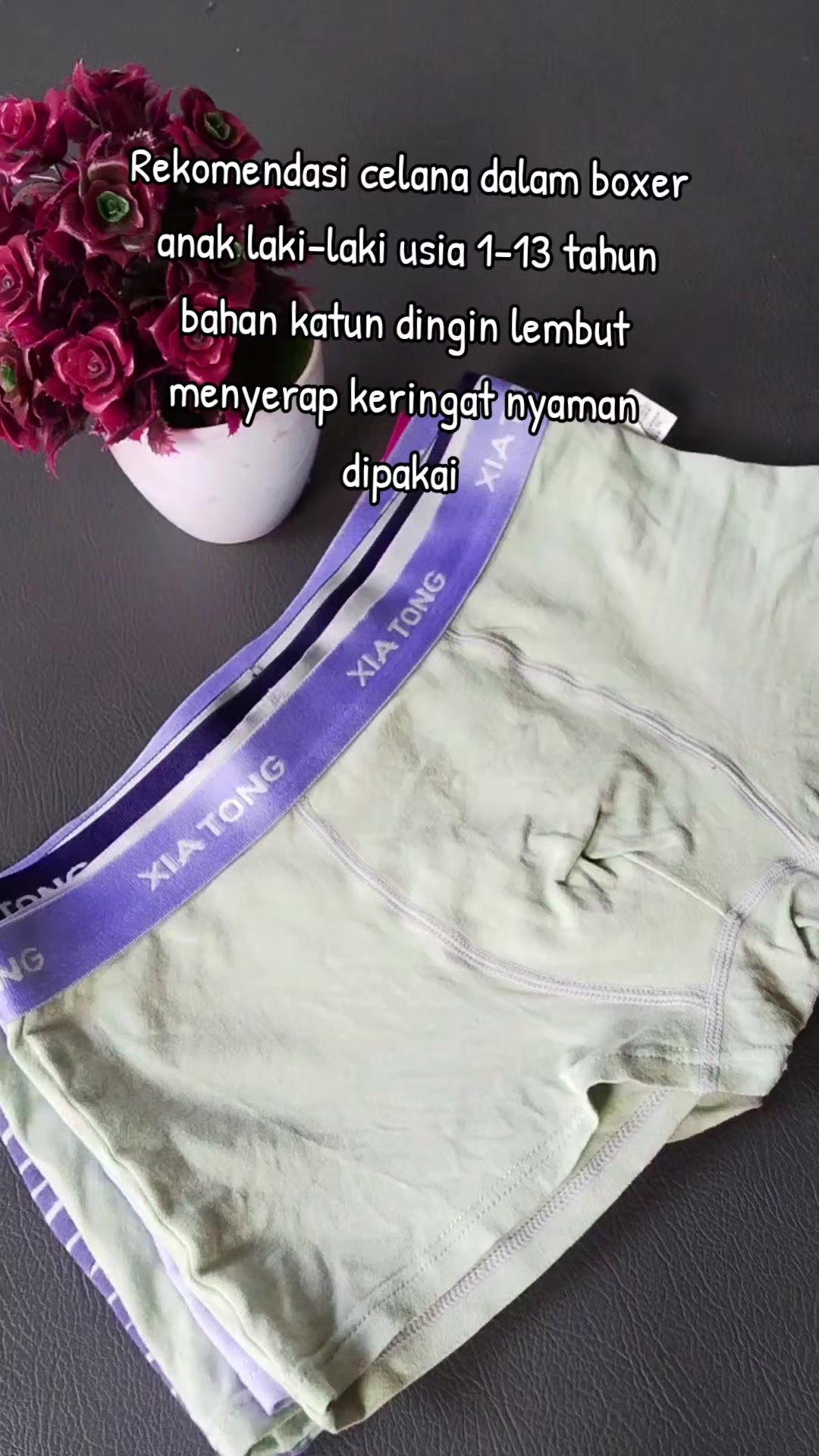 @manuellashop
