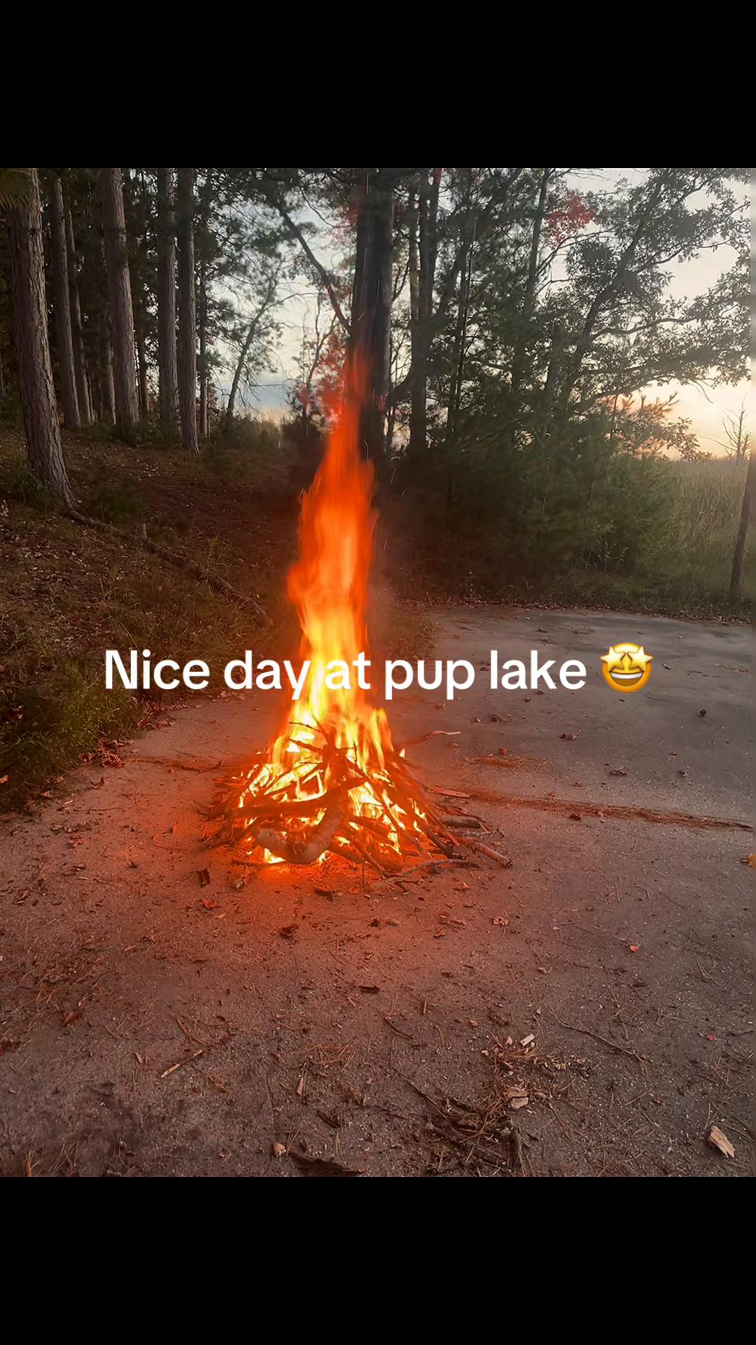 @dirtbike 300