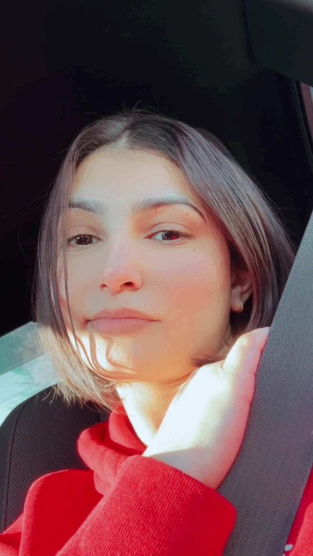 @🐝