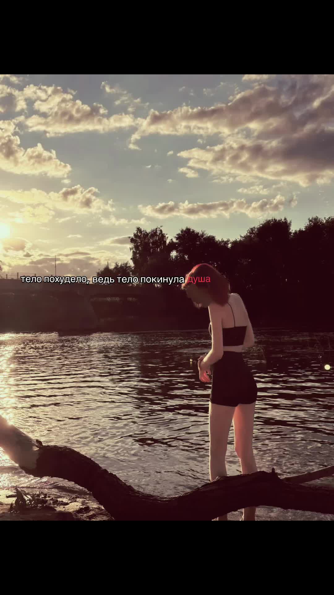 @мышка