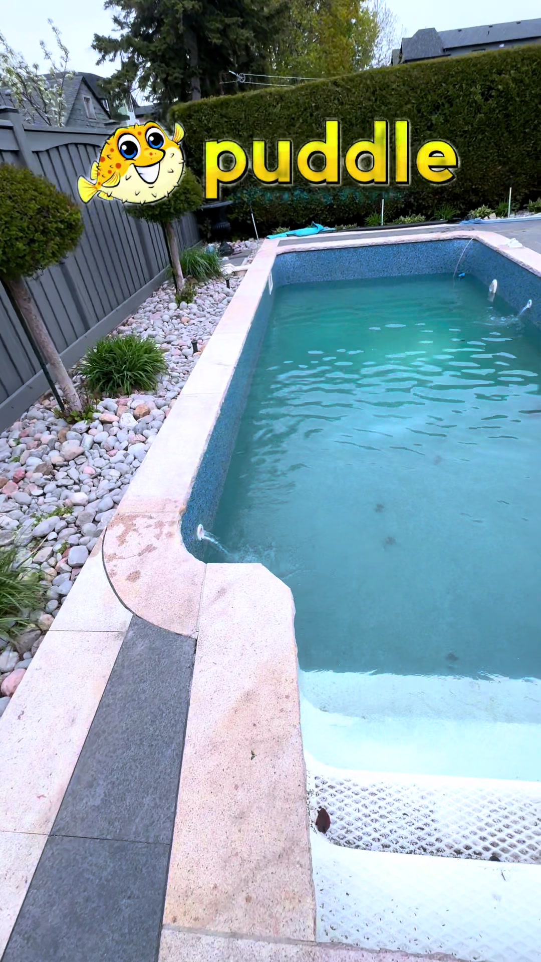 @K-man The Pool Man