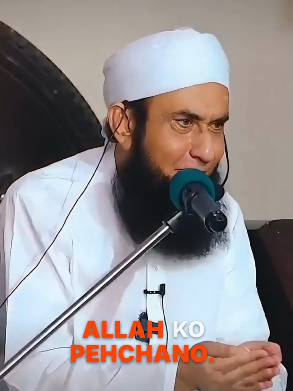 @Tariq Jamil | AJ Official