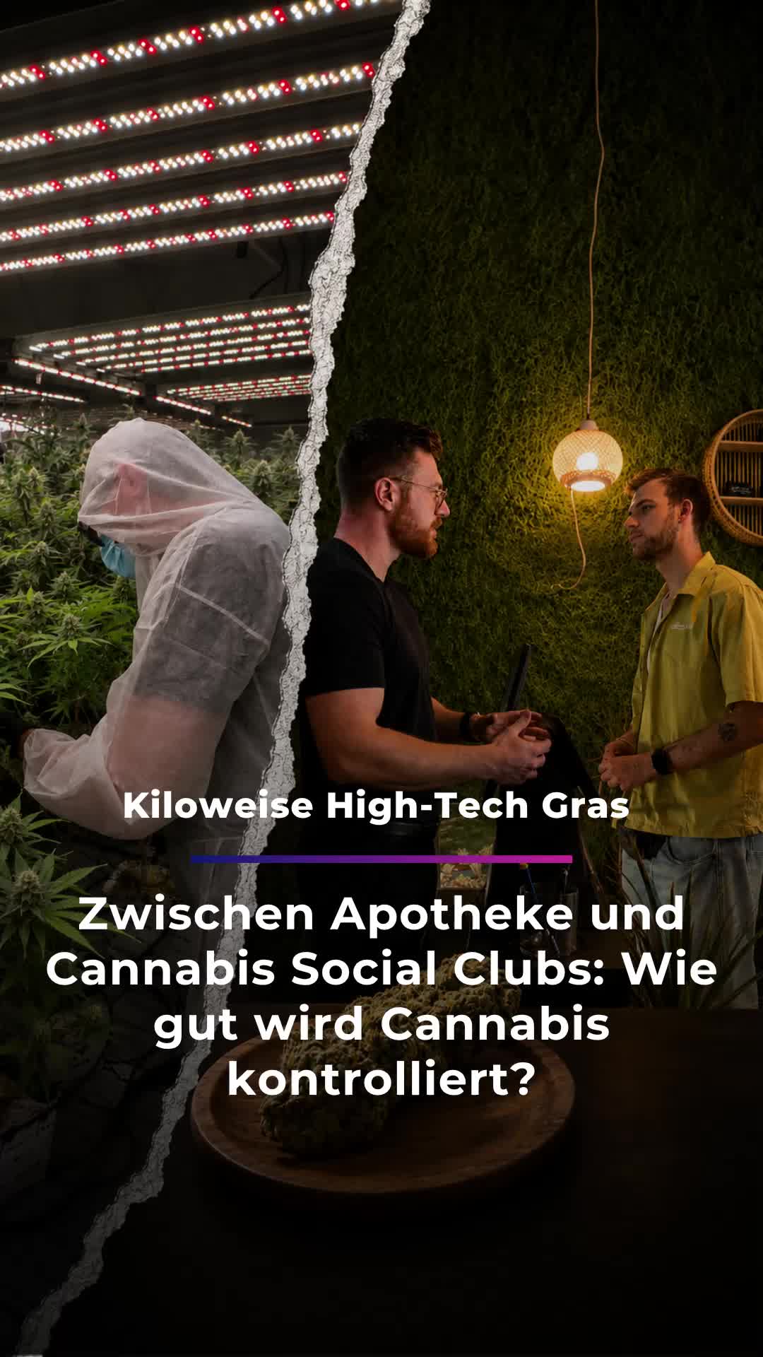 @Sachsen Fernsehen
