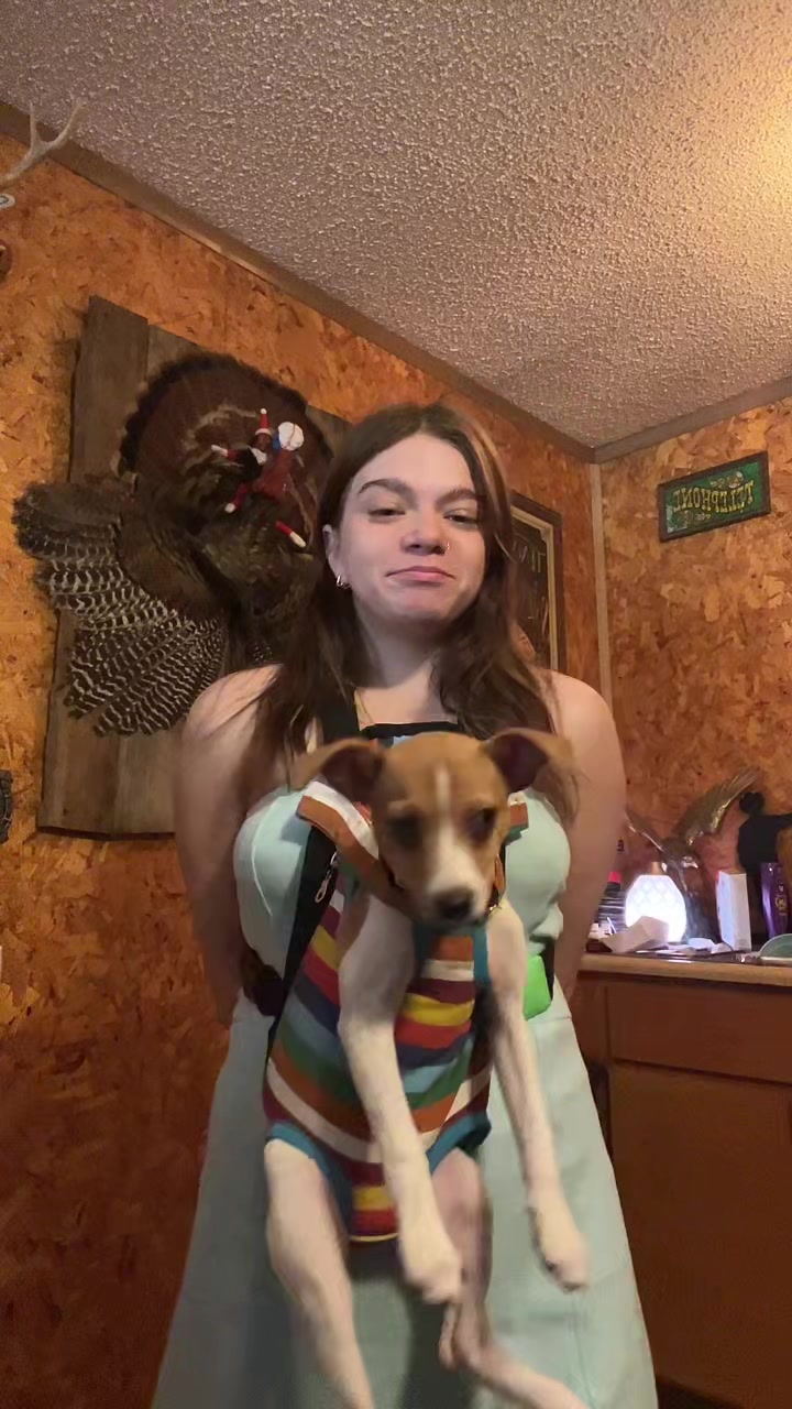 @hamjordyn67