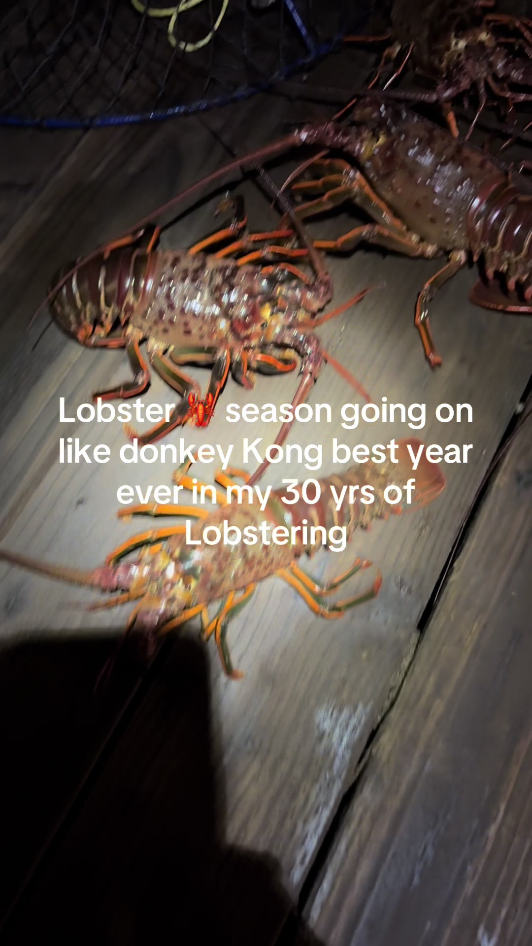@Scoobs_fishing