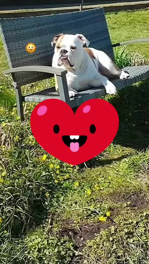 @💞Bollerschwein Mami💞