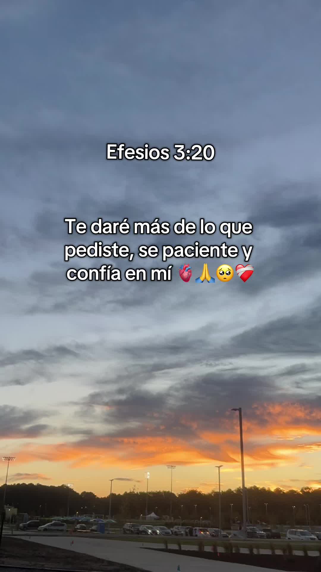 @lourdesruiz11🥰🫶🏻🎁🇸🇻🌲
