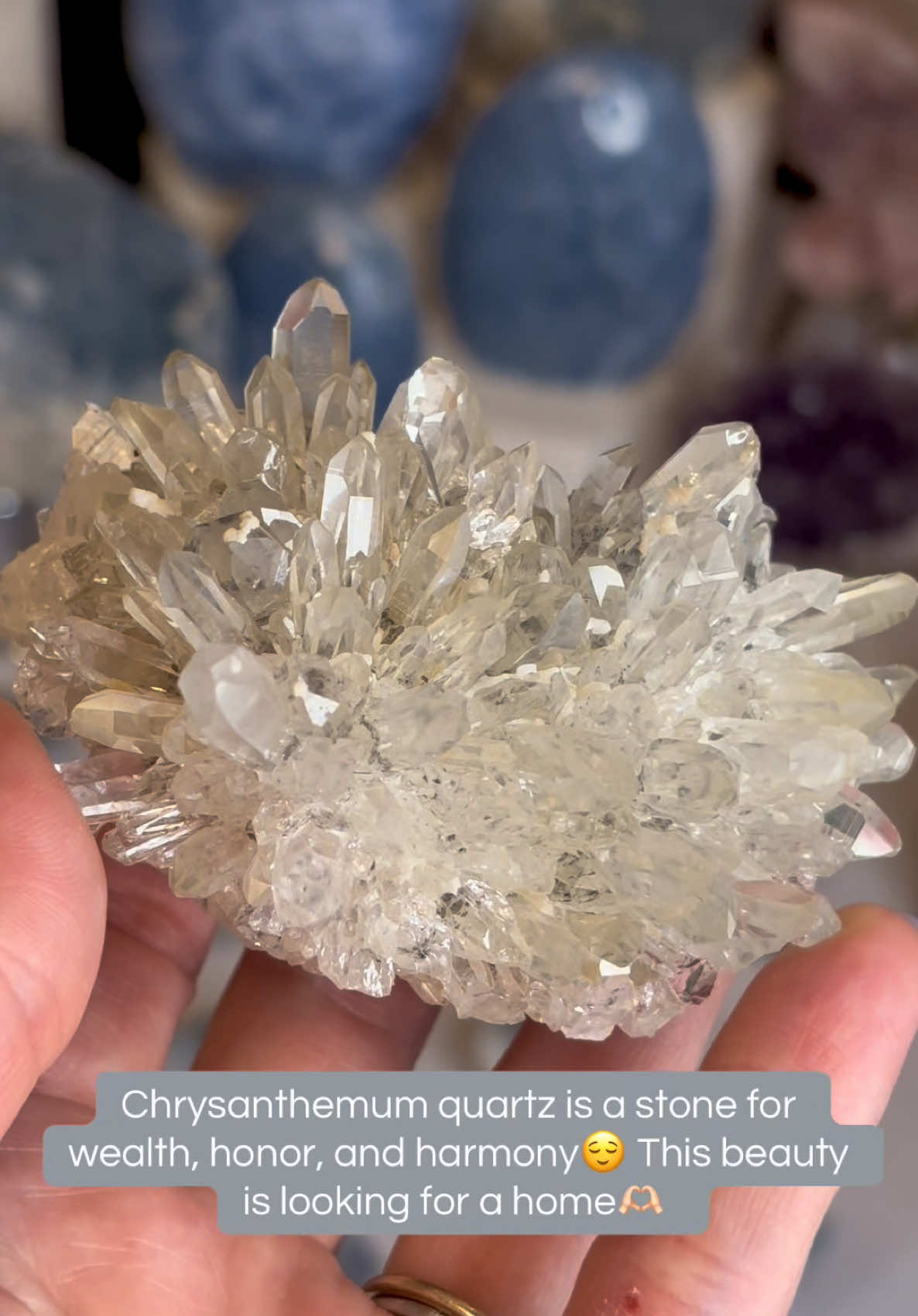 @E & L's Crystal Sanctuary