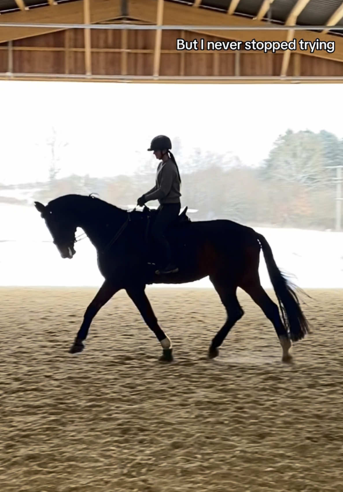 @annalisa.equestrian