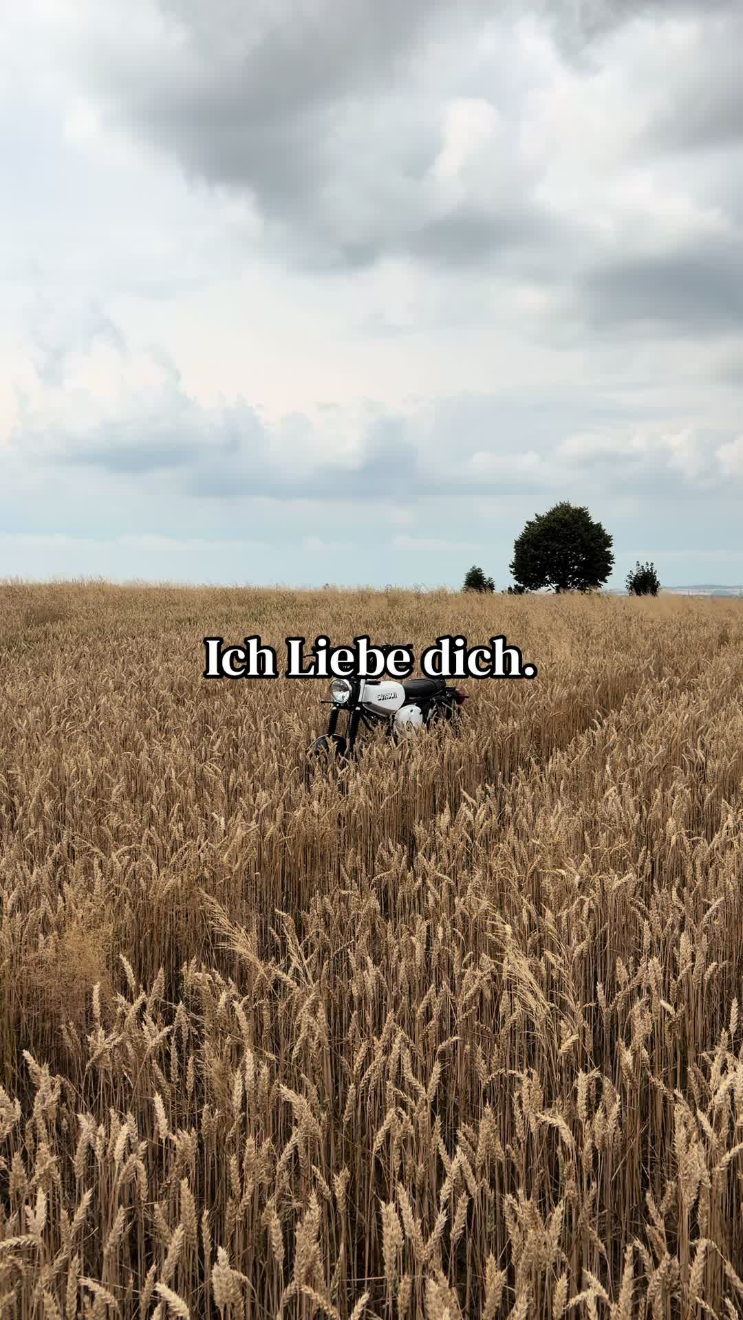 @️Carlo