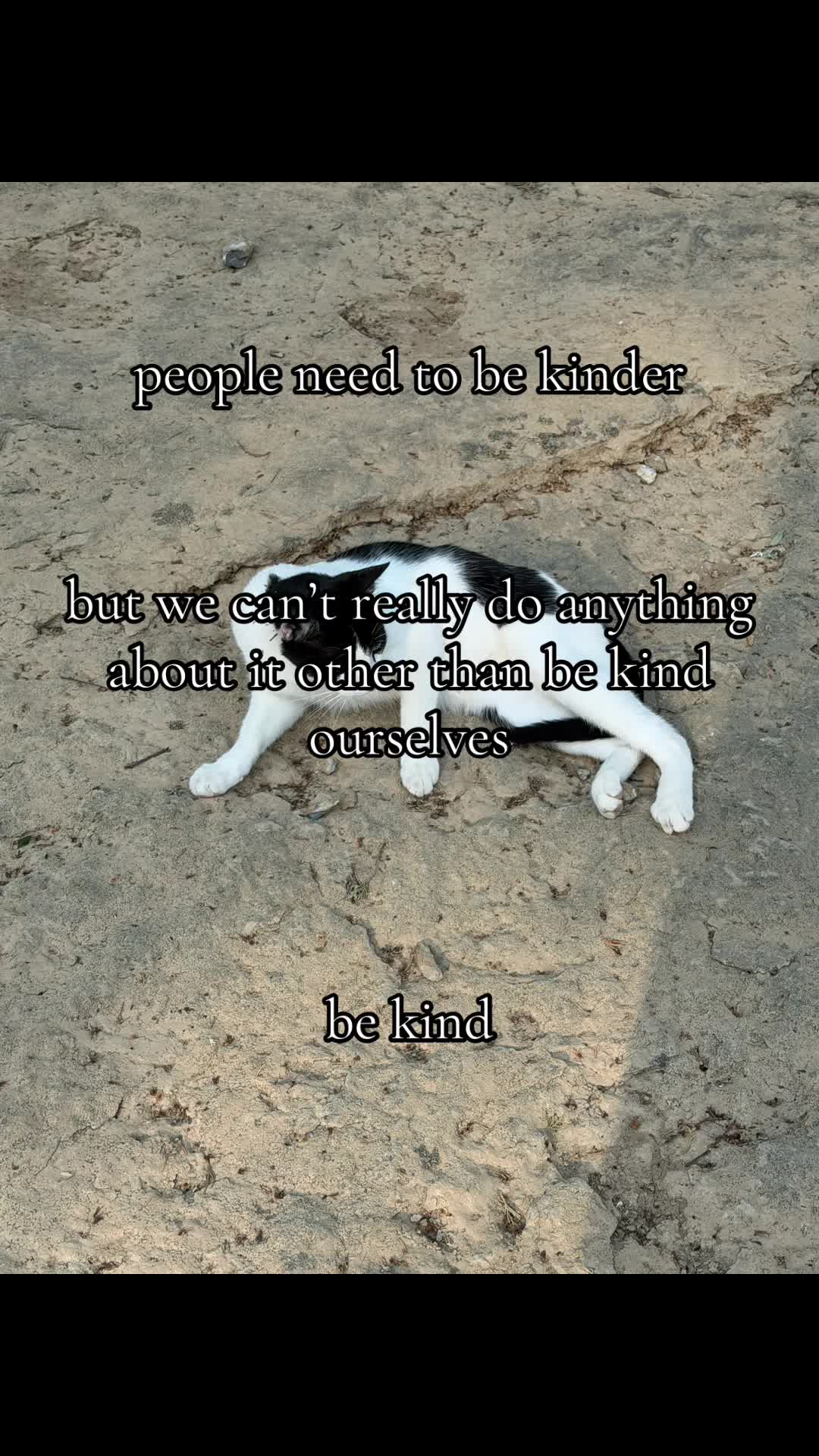@jack