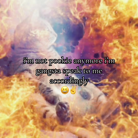 @vrodie4244