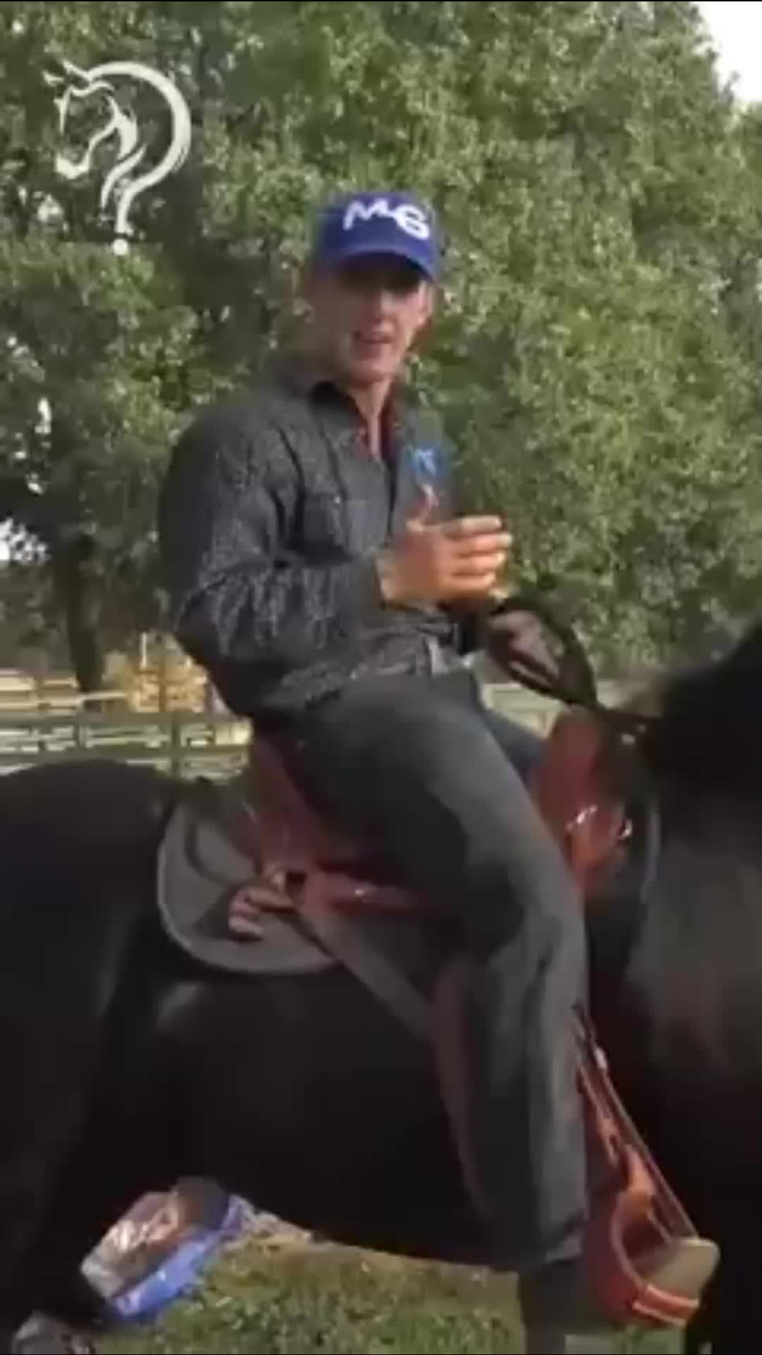 @Horse Help