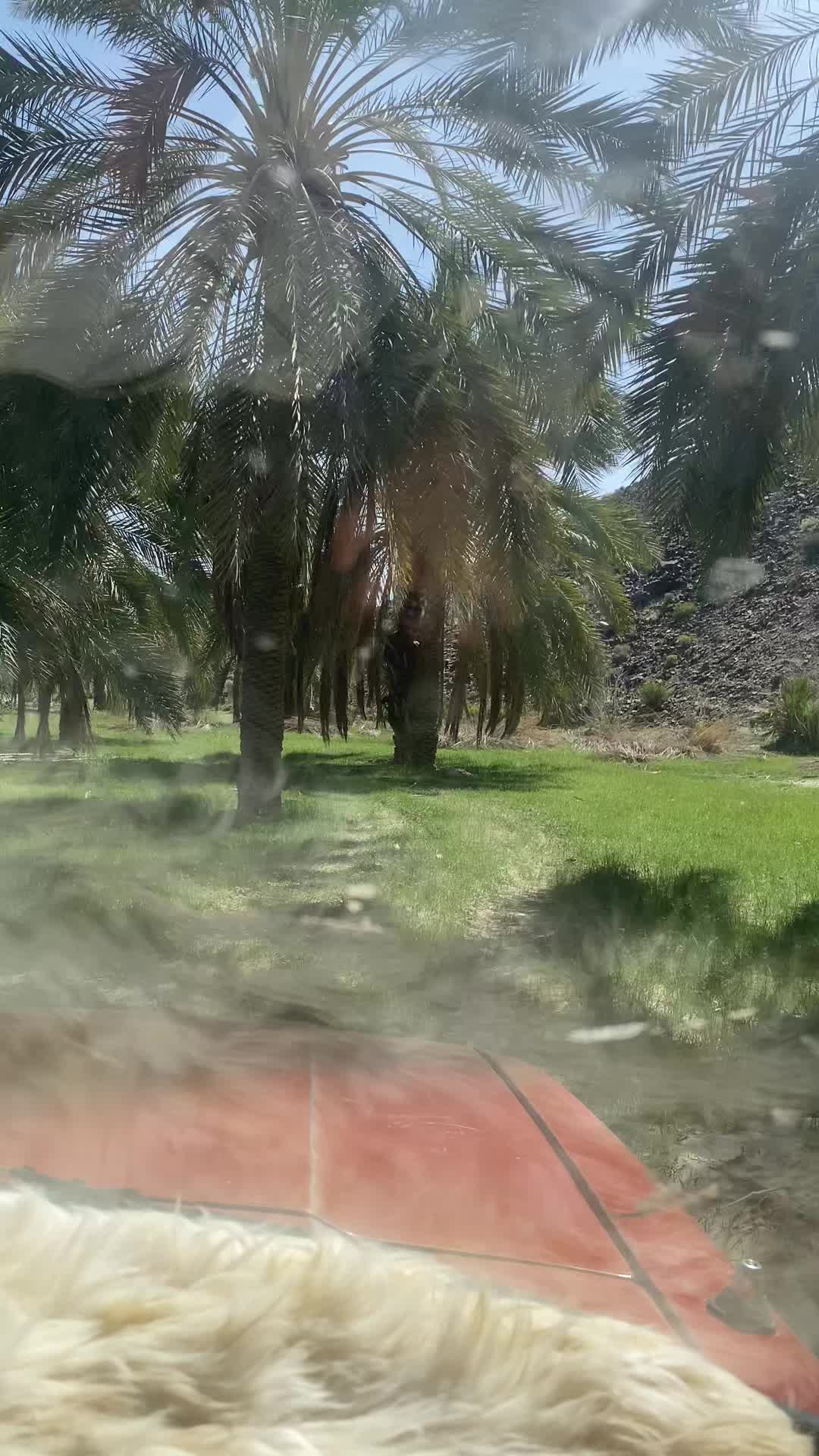@Ameer Zamurani