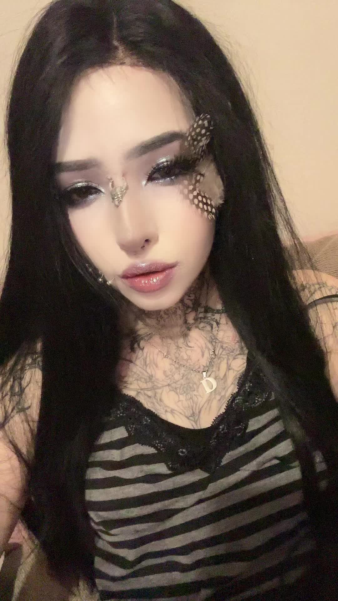 @dark dynasty