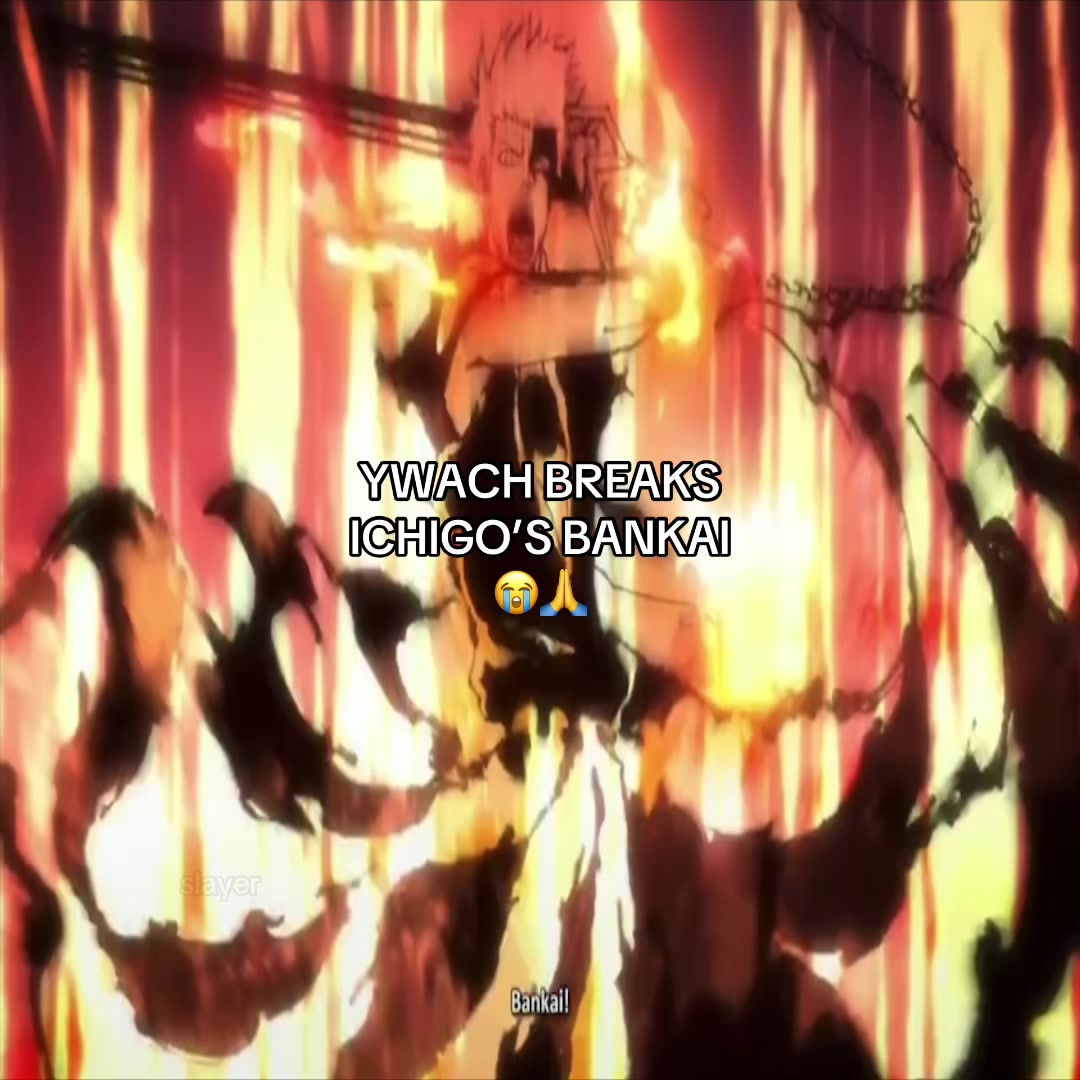 @Anime Slayer
