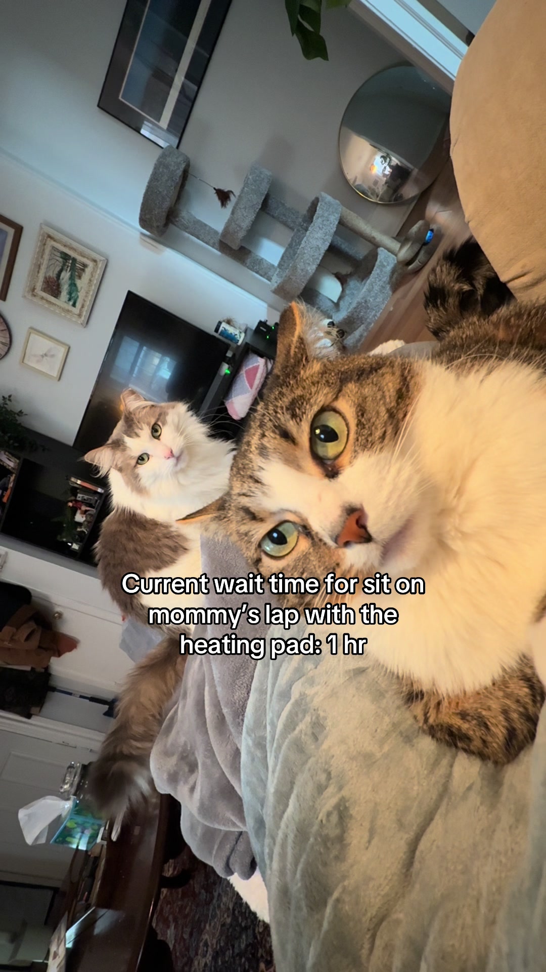 @⪩༏⪨ ⋆˚꩜｡ Tess ⋆˚꩜｡⪩༏⪨