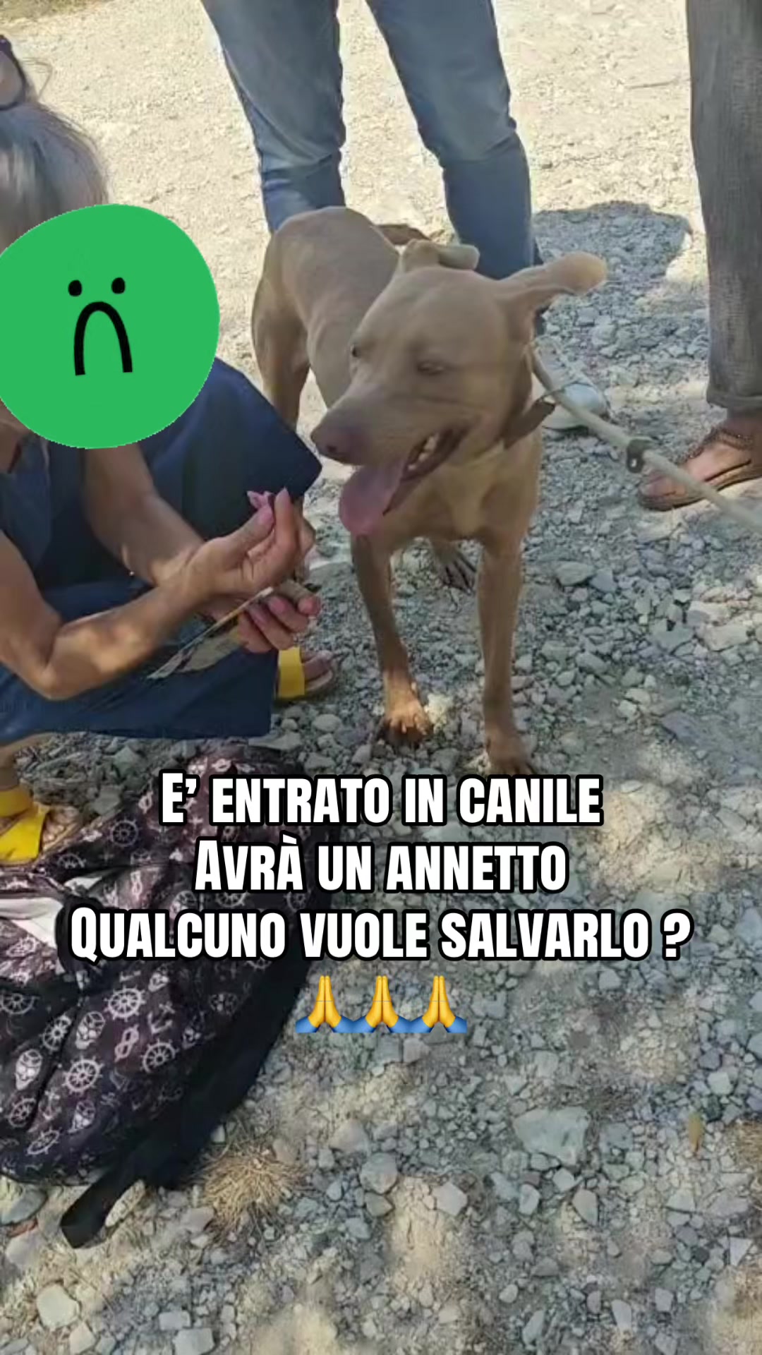 @I randagi di nessuno