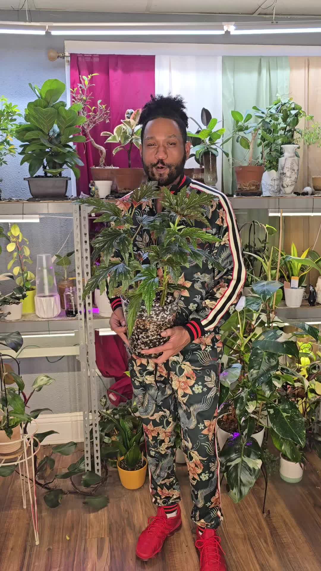 @JT - BigEGOPlants