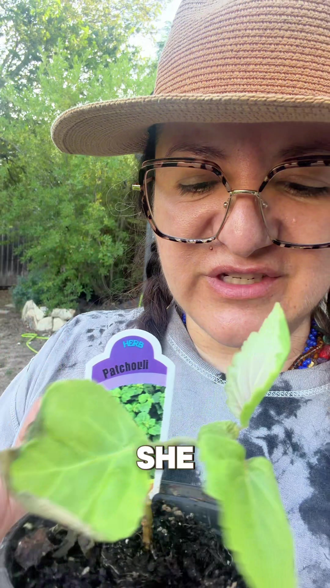 @thepitayacollective