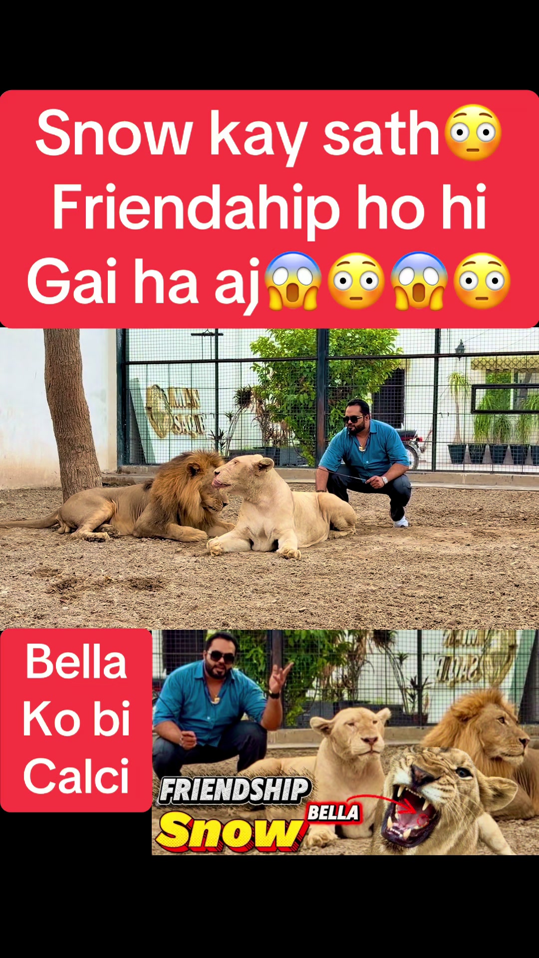 @Mian saqib
