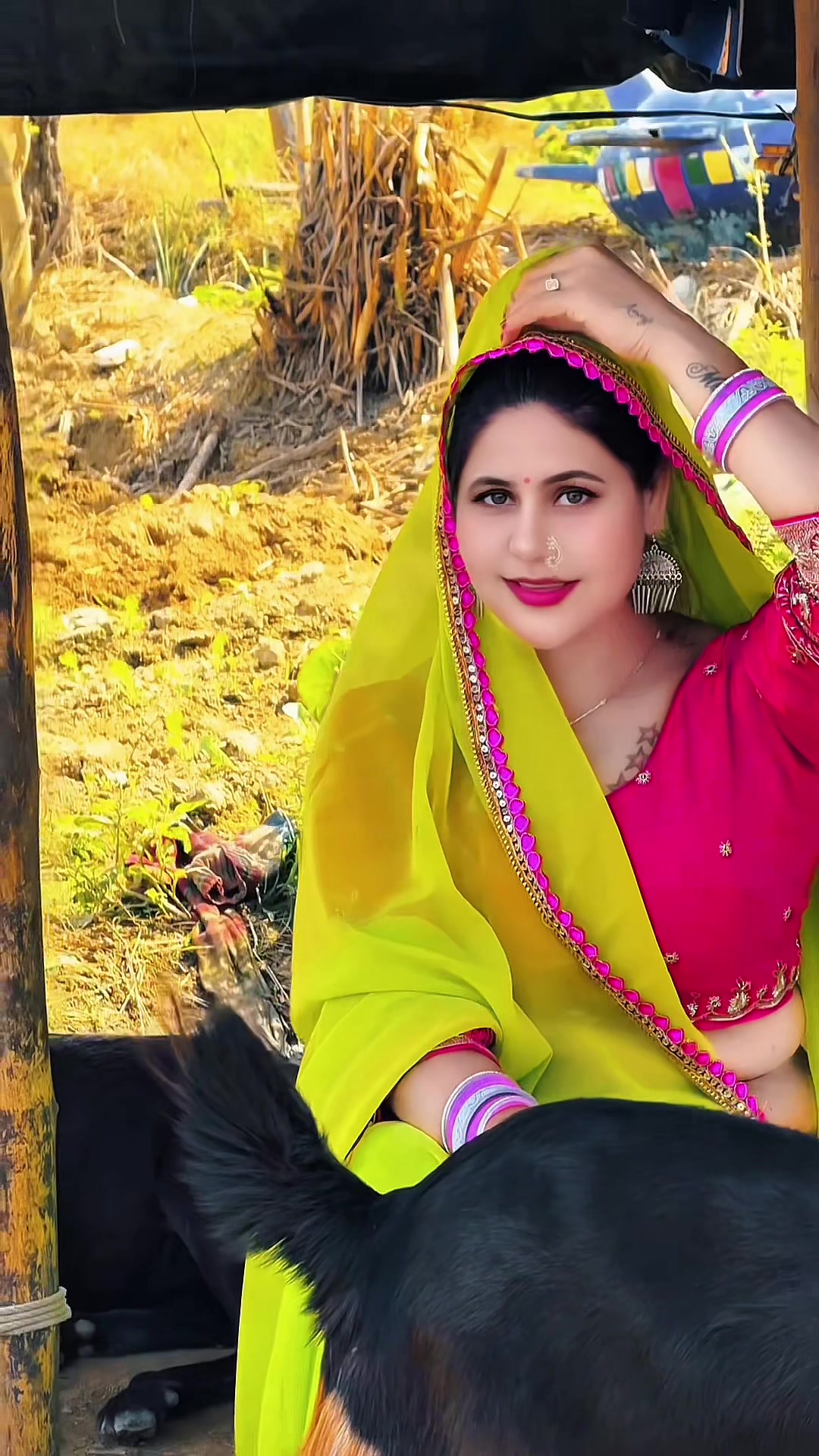 @Renu Chaudhary🇮🇳🇮🇳🇮🇳