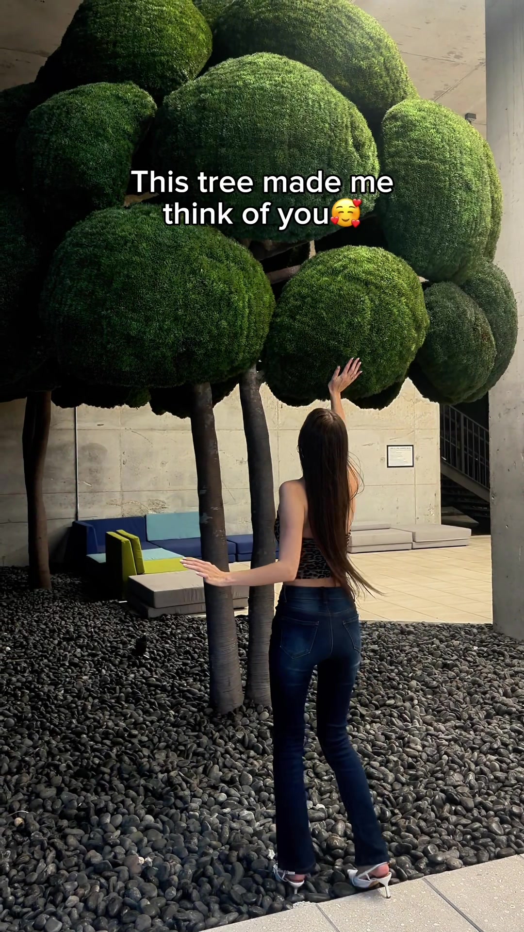 @Sofi Rose