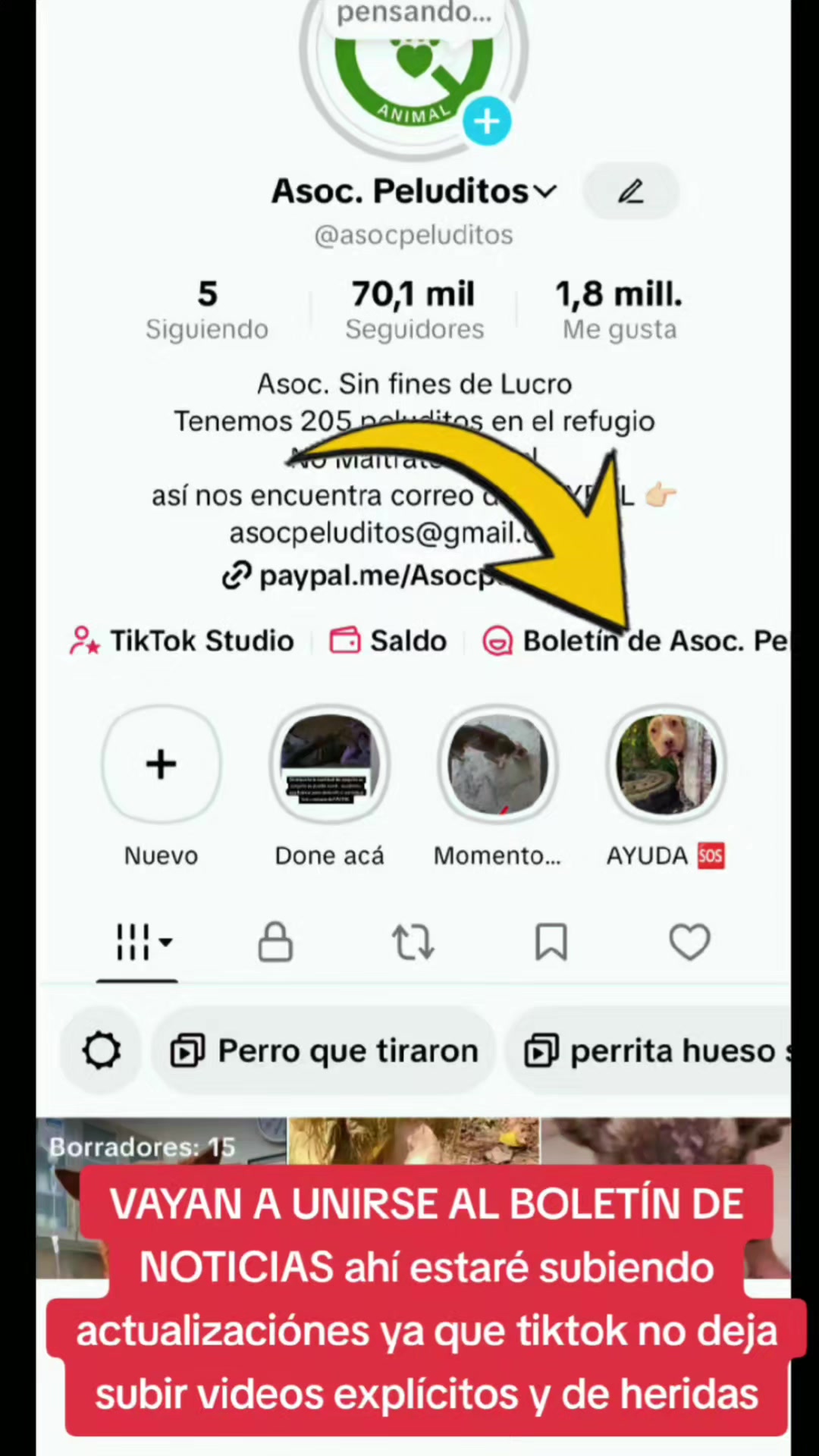 @Asoc. Peluditos