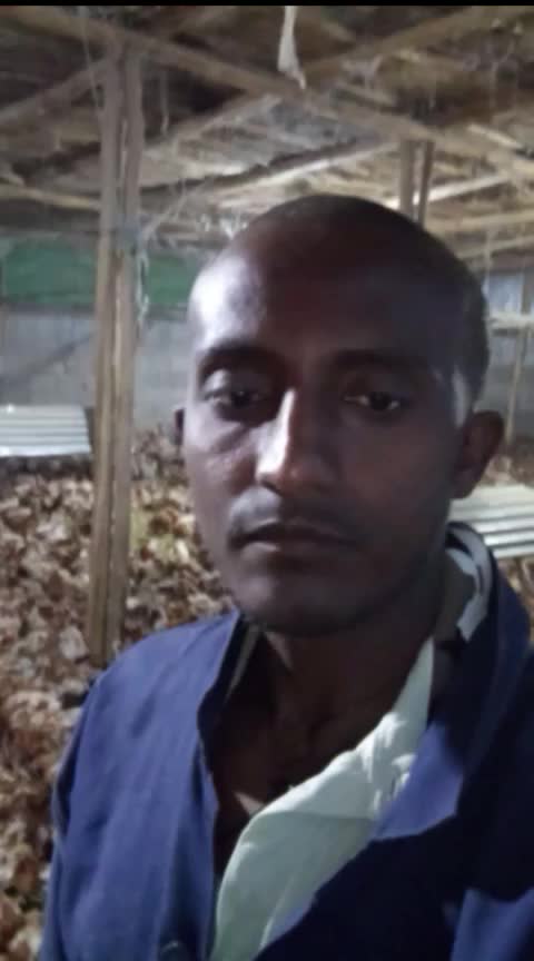 @yared sisay